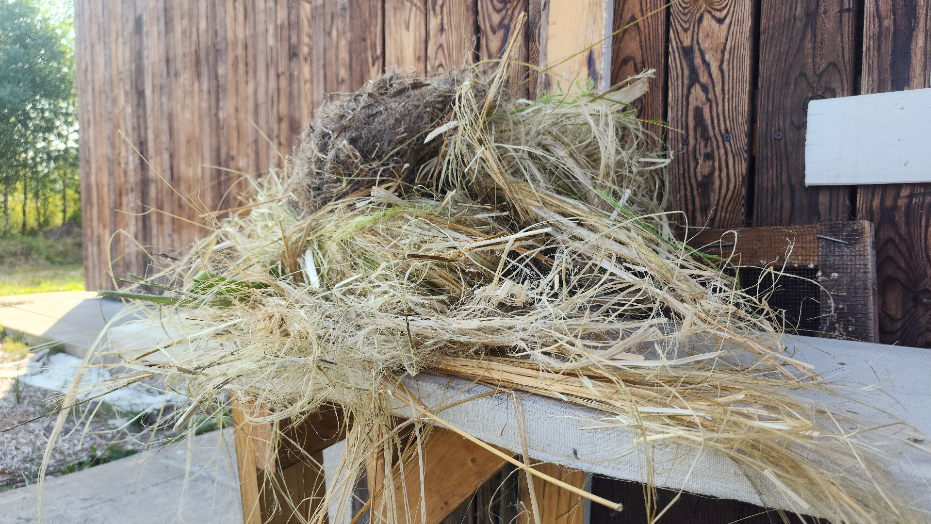 волоколамск, агротуризм, зеленая энергетика,