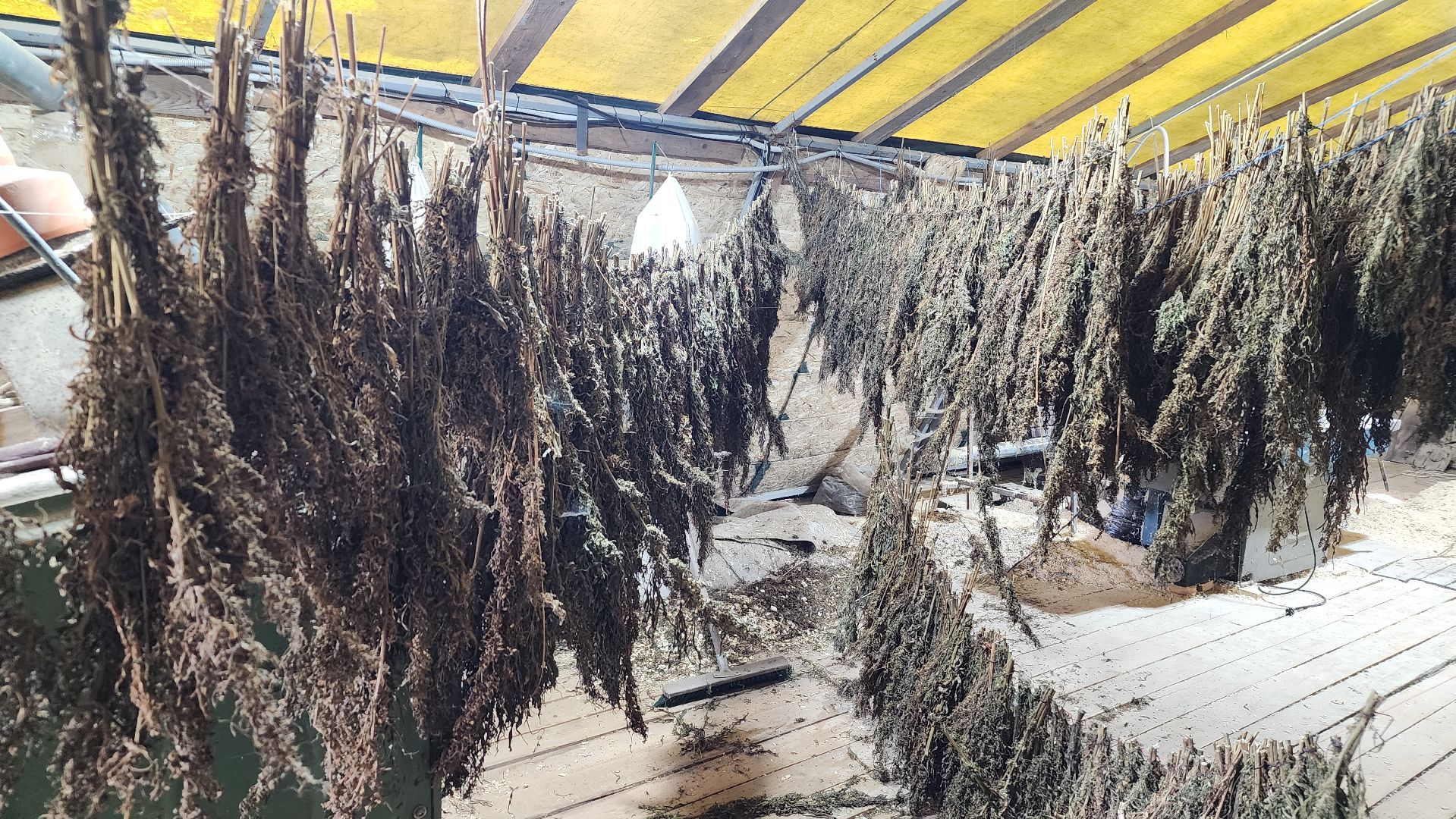 волоколамск, агротуризм, зеленая энергетика,