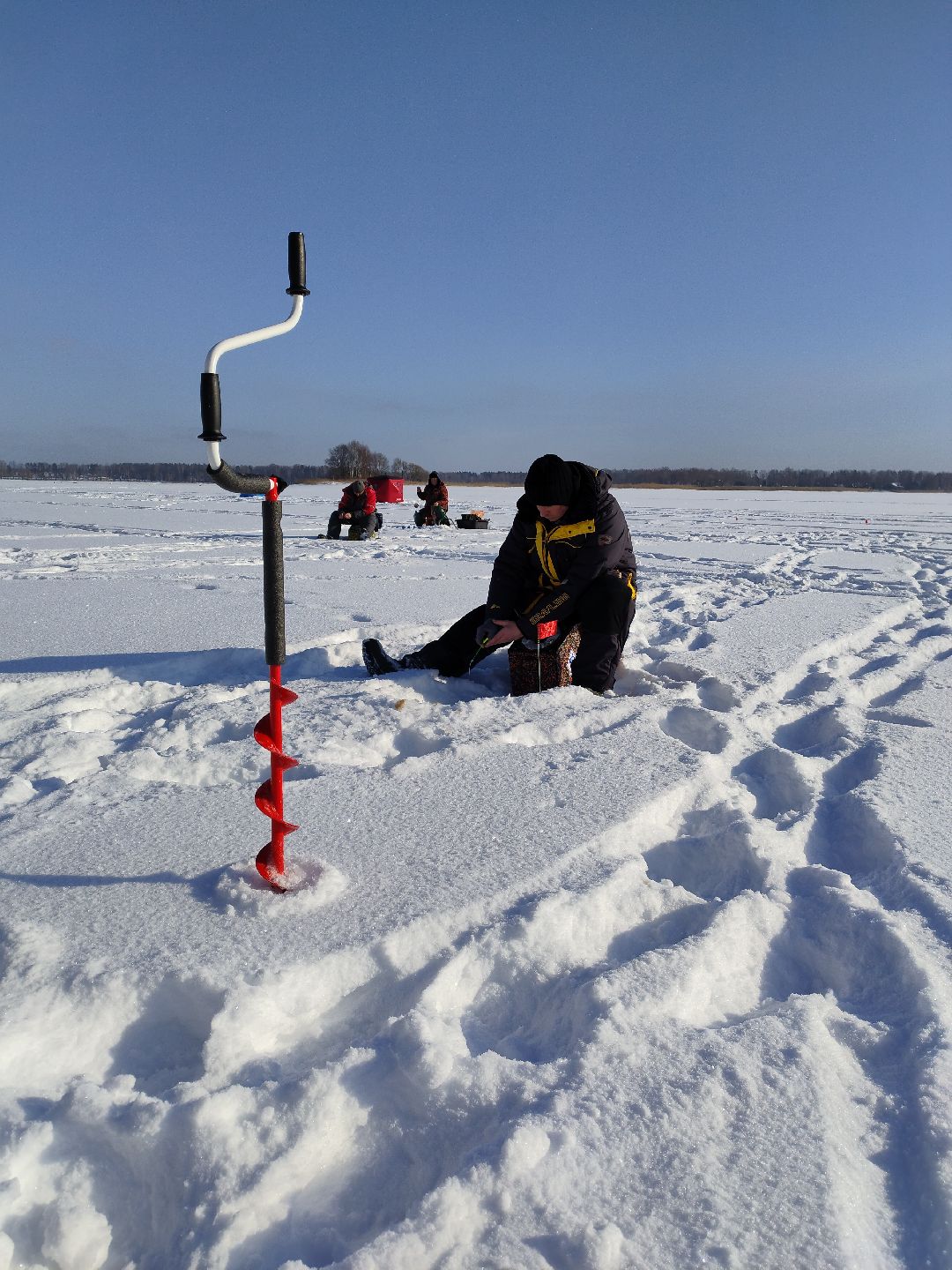 Истра, волонтеры, экология