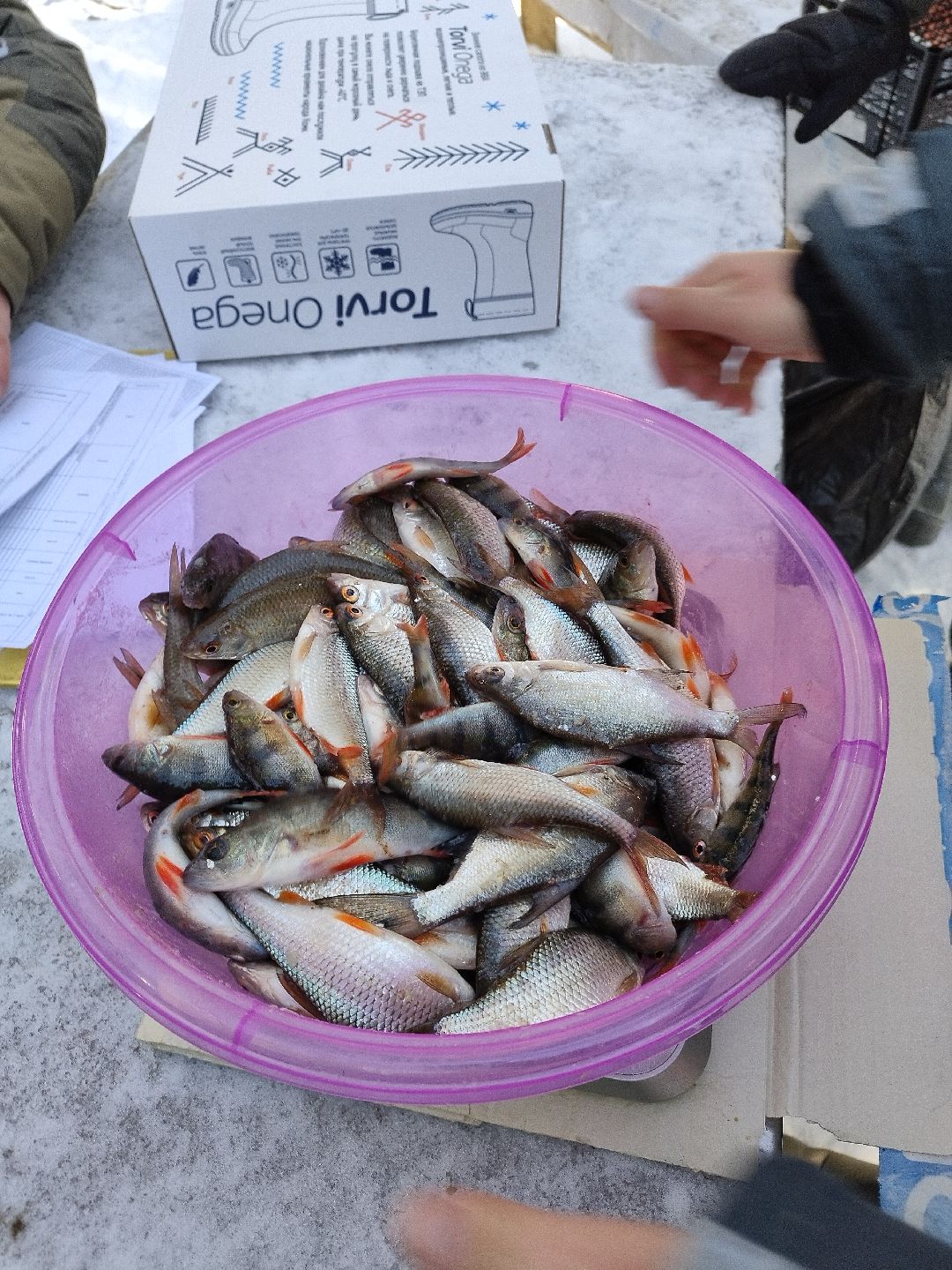 Истра, волонтеры, экология