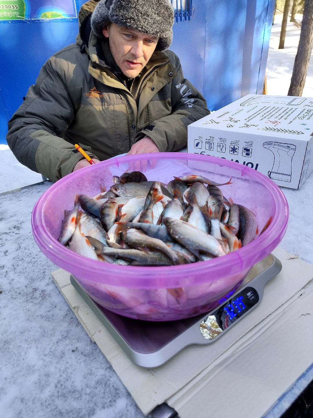 Истра, волонтеры, экология