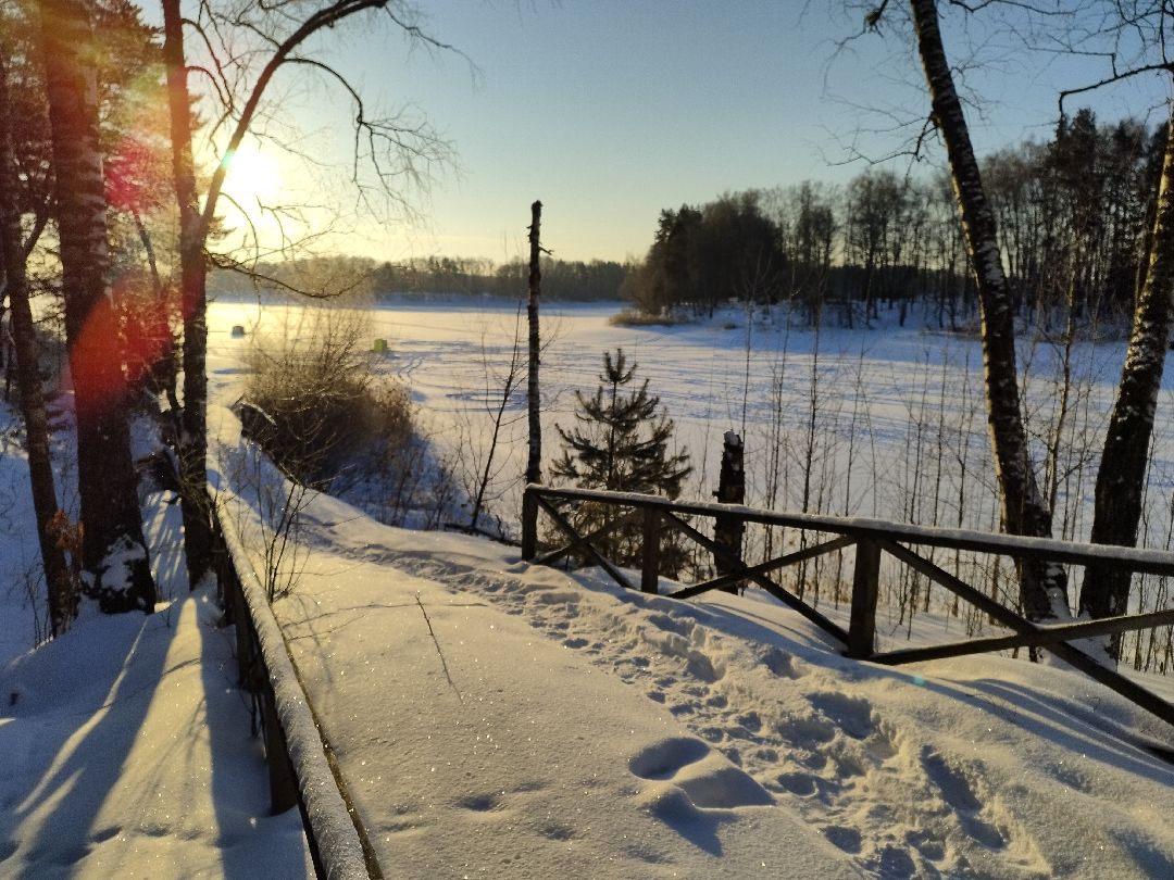 Истра, волонтеры, экология