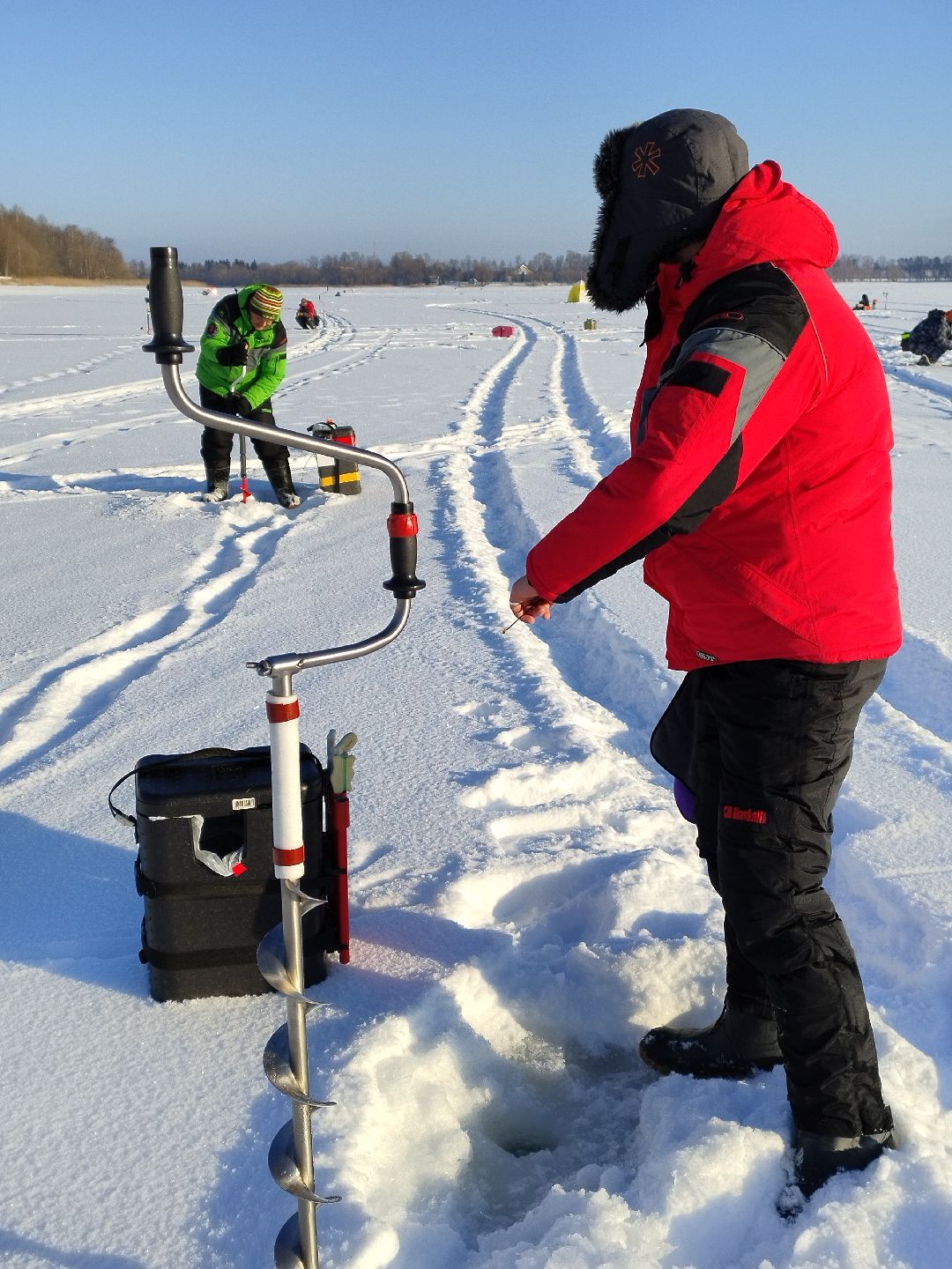 Истра, волонтеры, экология