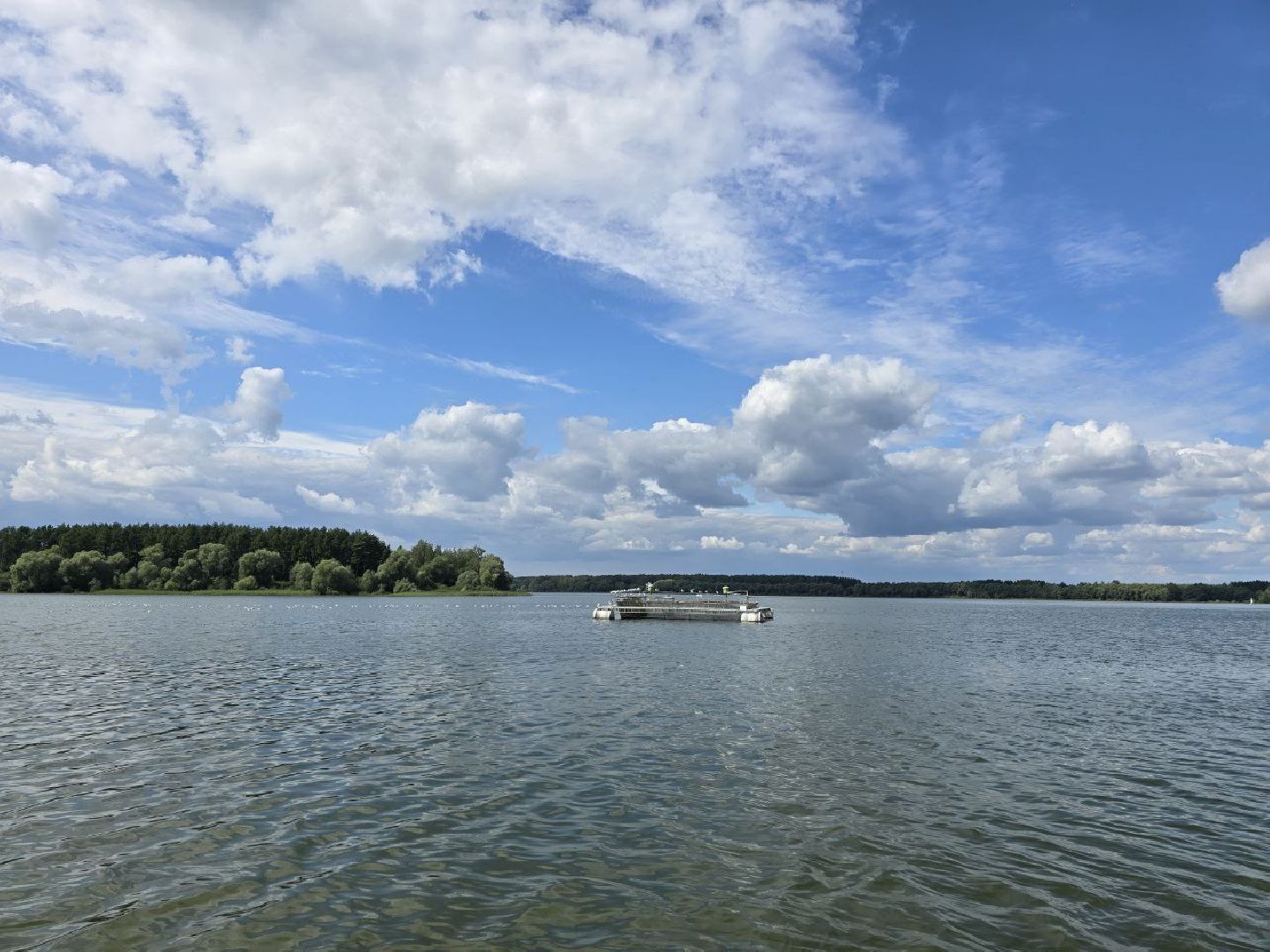 можайск, можайский муниципальный округ, подмосковье, осетровые рыбы, экология, Главрыбвод, завод, Можайский производственно-экспериментальный завод , восполнение популяции,