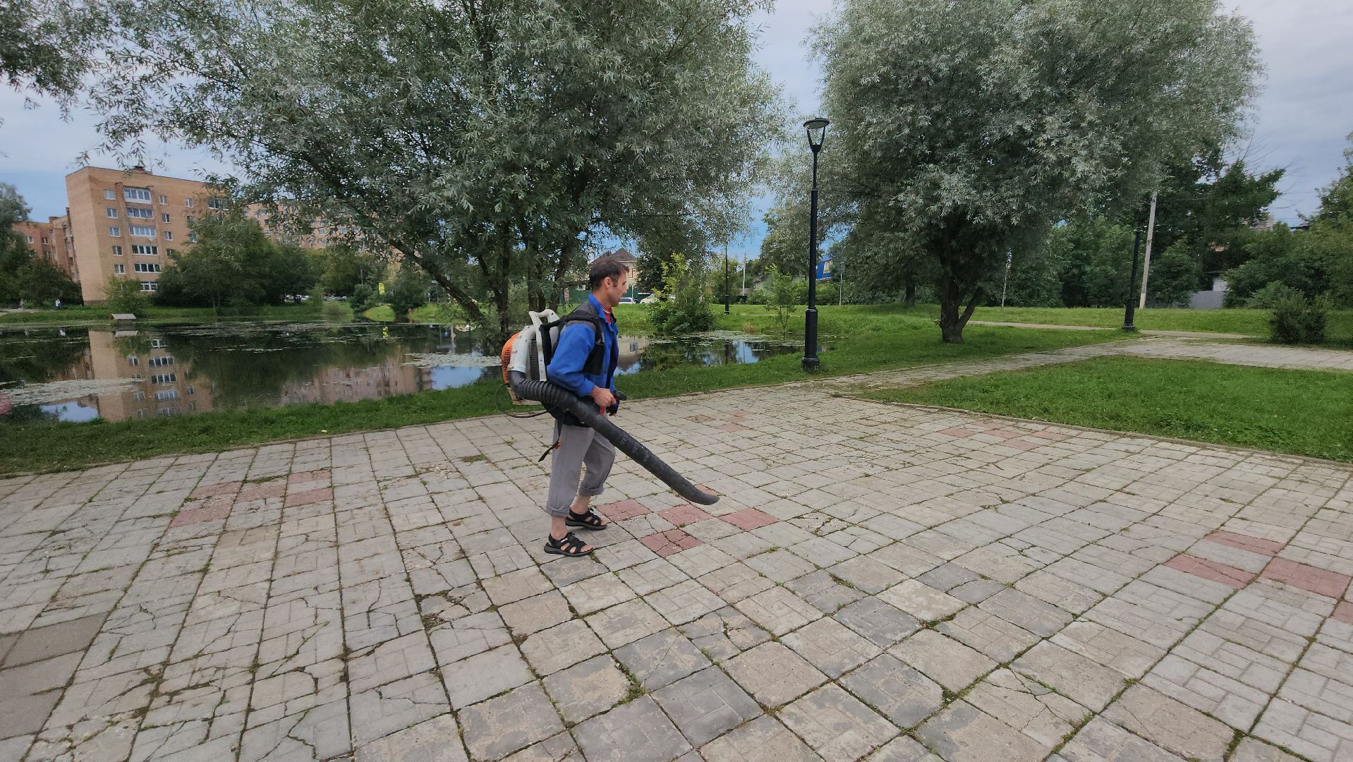 Истра, Уборка, Благоустройство,