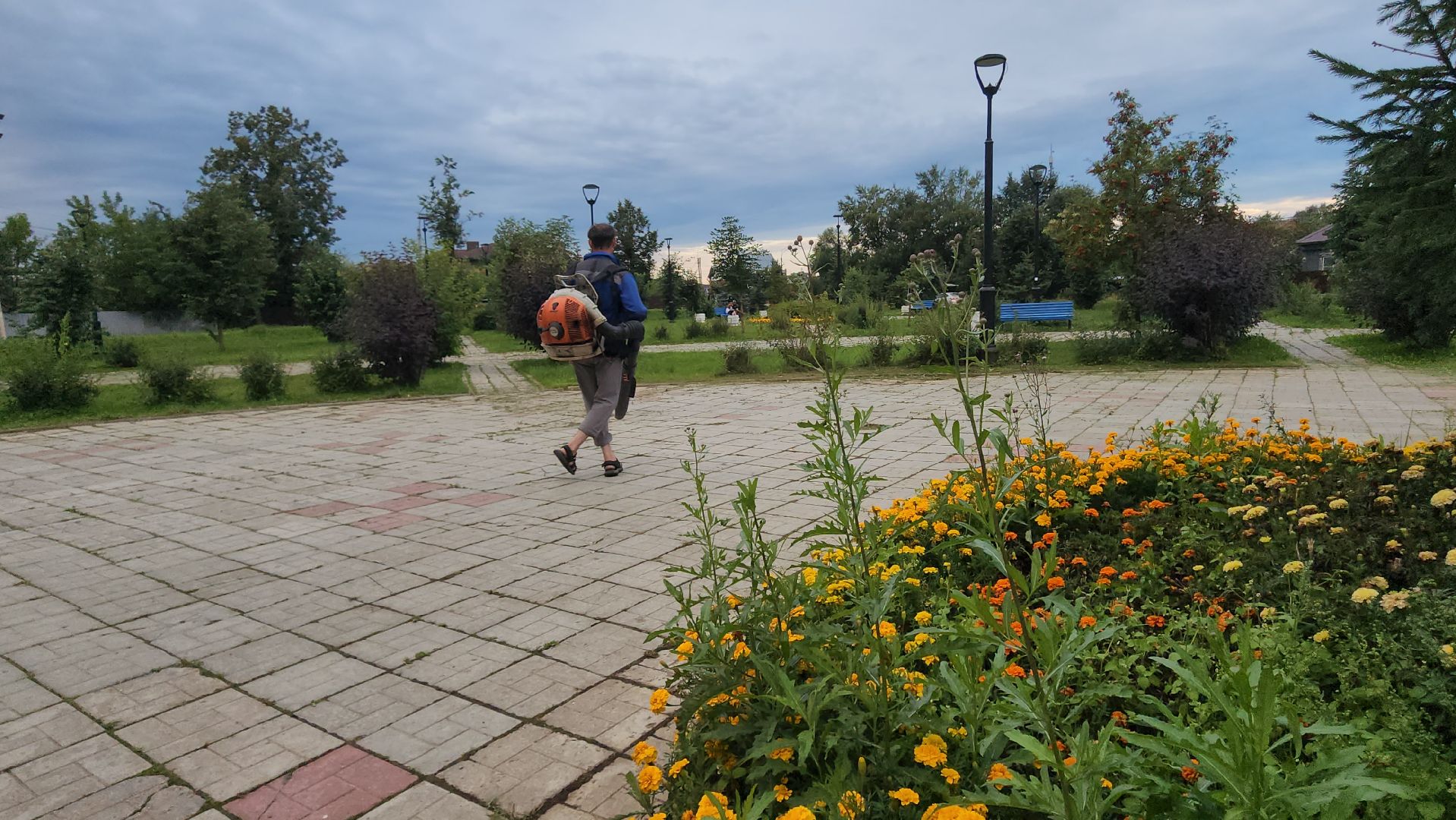 Истра, Уборка, Благоустройство,