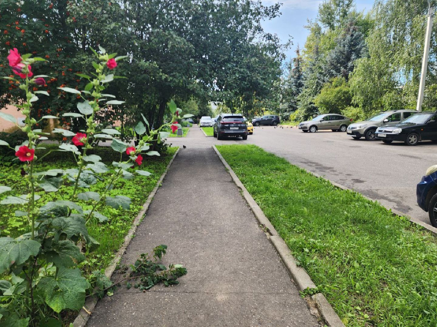 выездная администрация, пущино, серпухов,