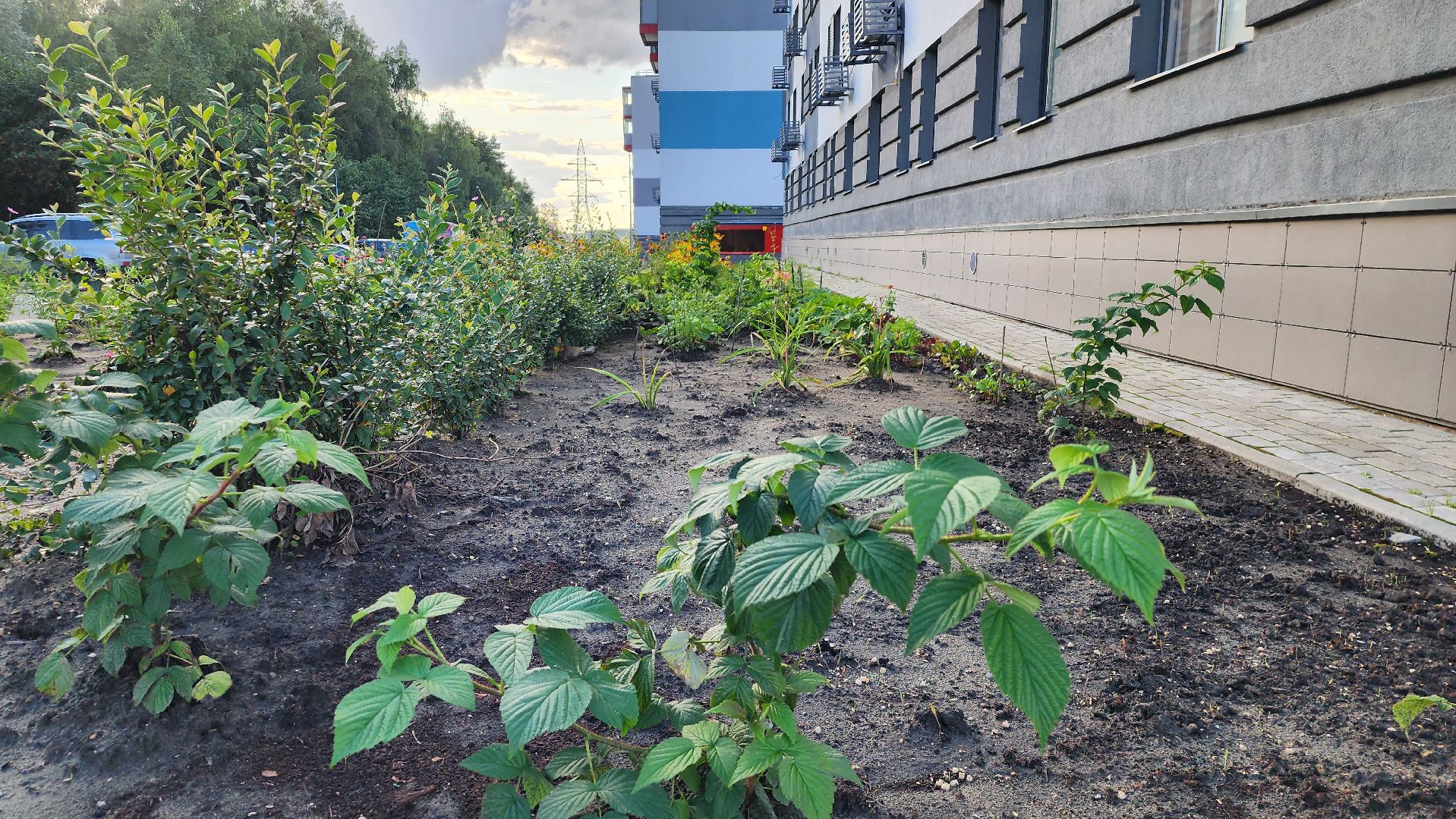 выездная администрация,