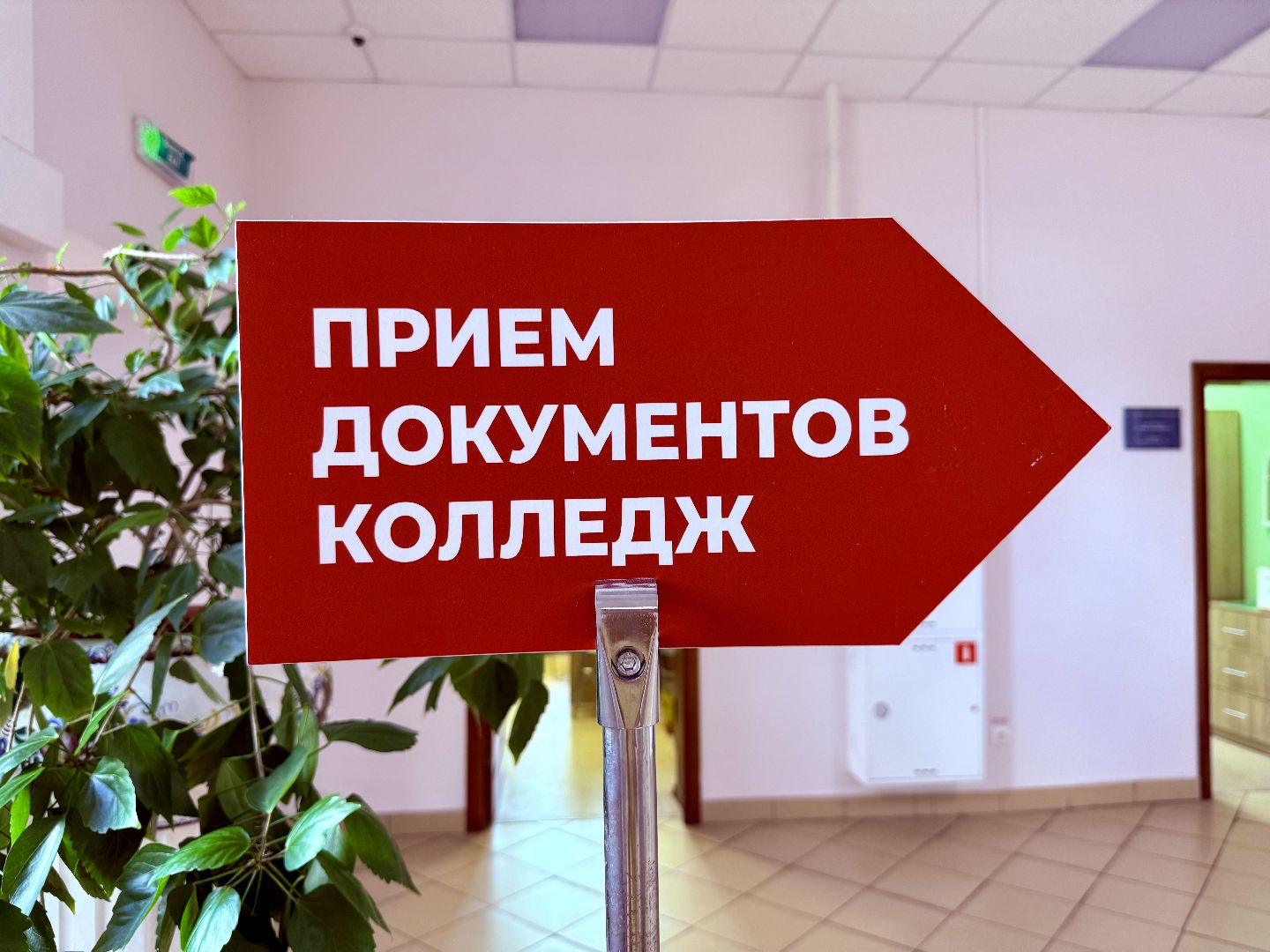 ггу, гжельский государственный университет, высшее образование, приемная кампания,