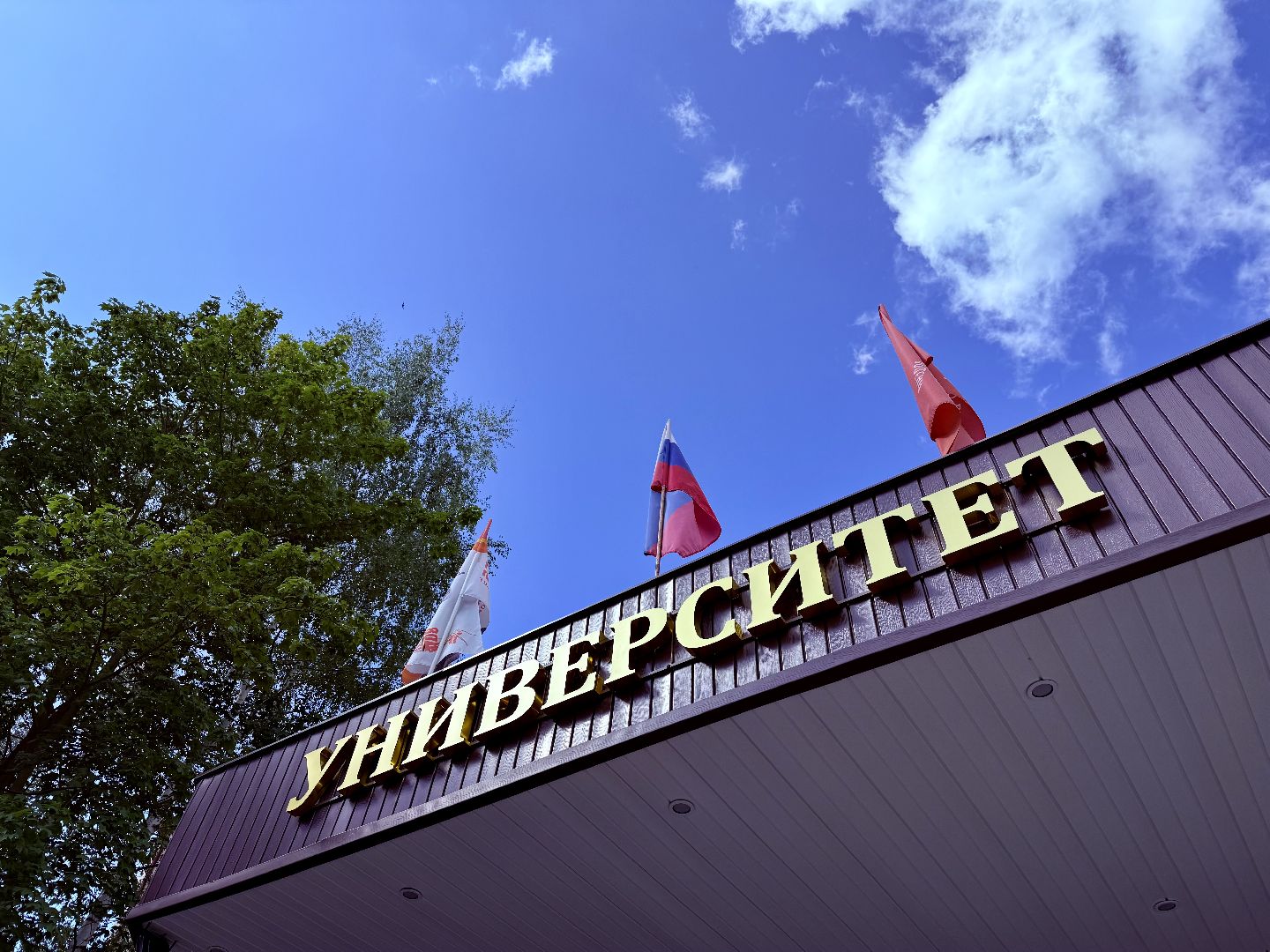 ггу, гжельский государственный университет, высшее образование, приемная кампания,