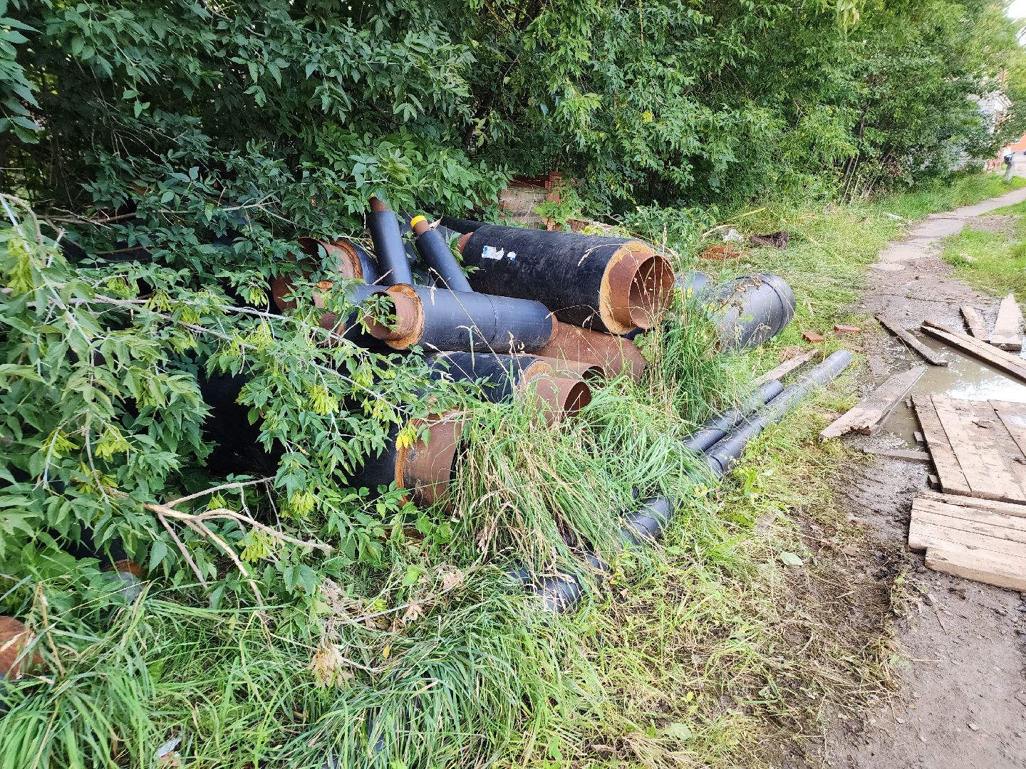солнечногорск, власть, жители , вопросы, администрация,