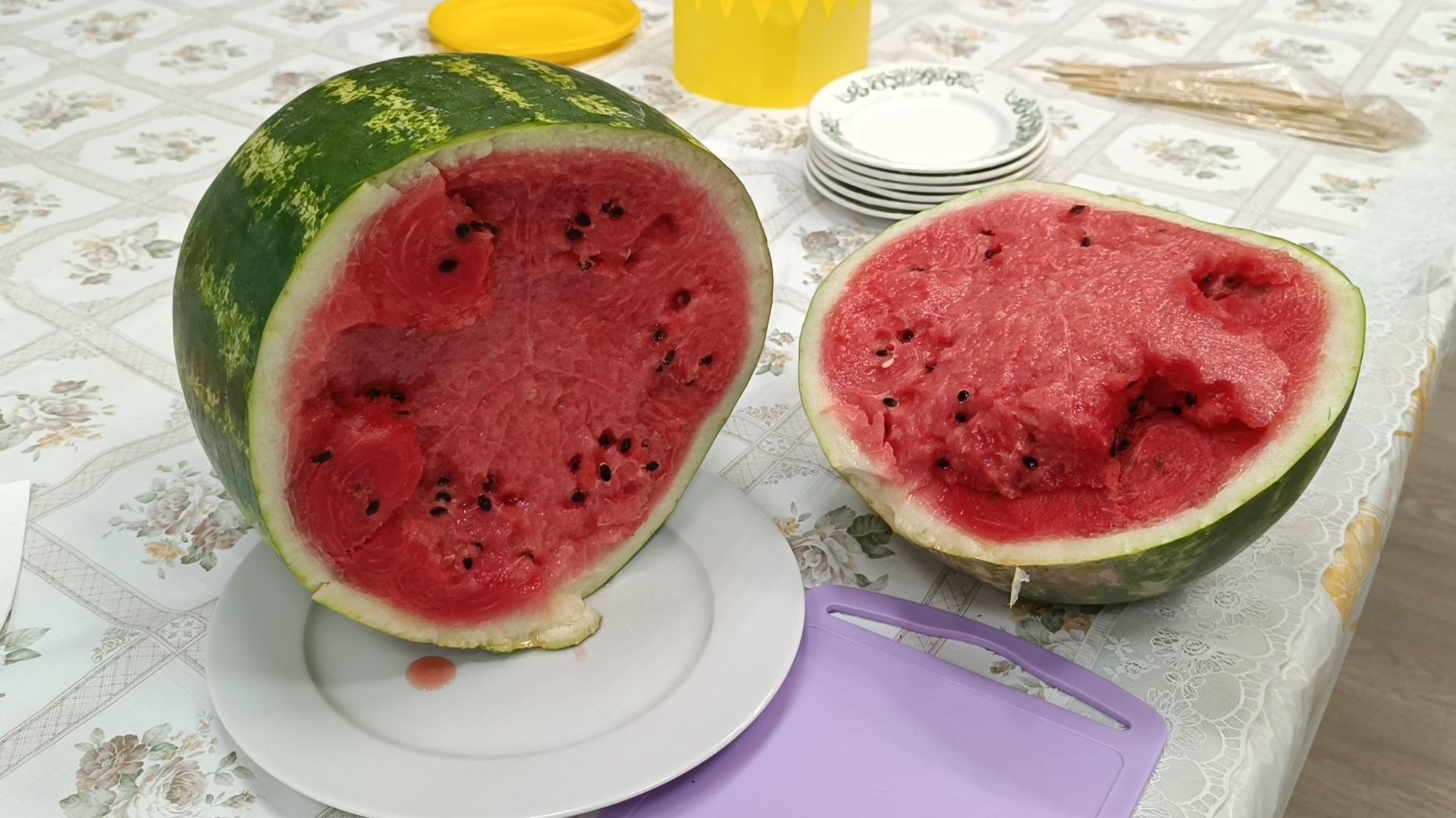 арбуз, лобня, музей, овз,