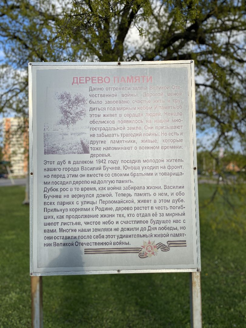 Чехов, Дерево памяти, ВОВ, День победы, житель, памятник