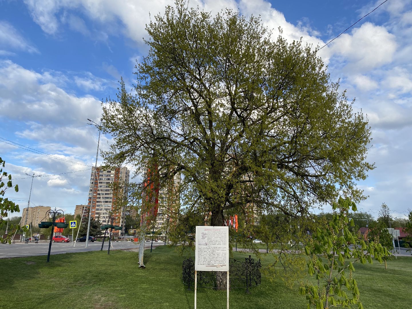 Чехов, Дерево памяти, ВОВ, День победы, житель, памятник