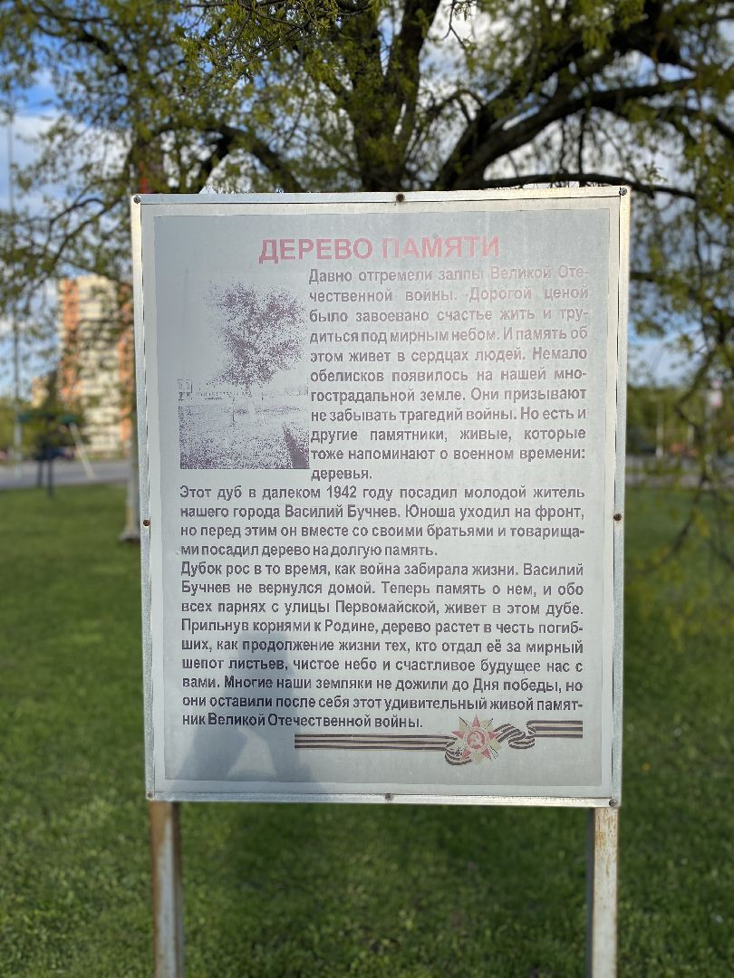 Чехов, Дерево памяти, ВОВ, День победы, житель, памятник