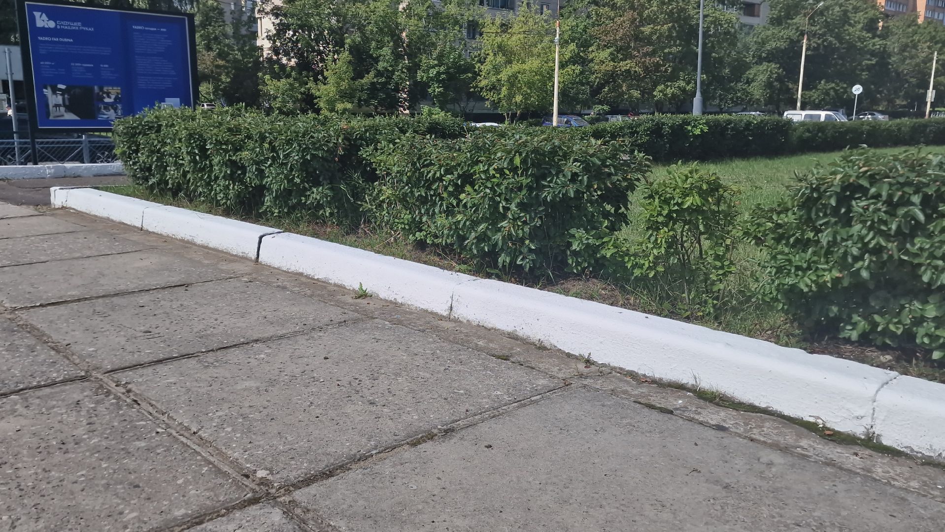 Гимназия11Дубна, Образование, Ремонт,