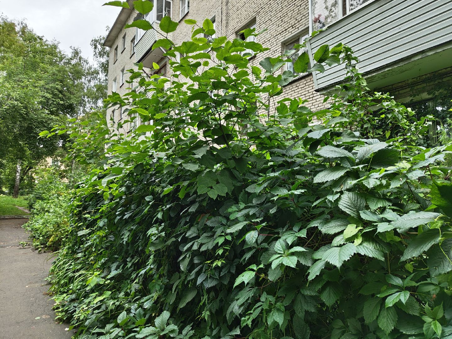 общество, лыткарино, выездная администрация, обращения жителей,