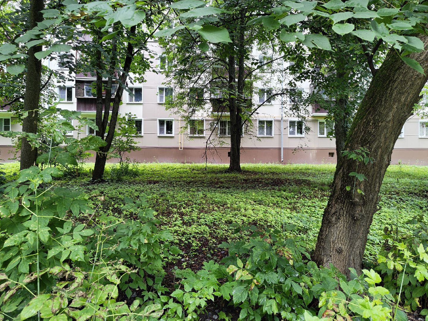 общество, выездная администрация, лыткарино, обращения жителей,