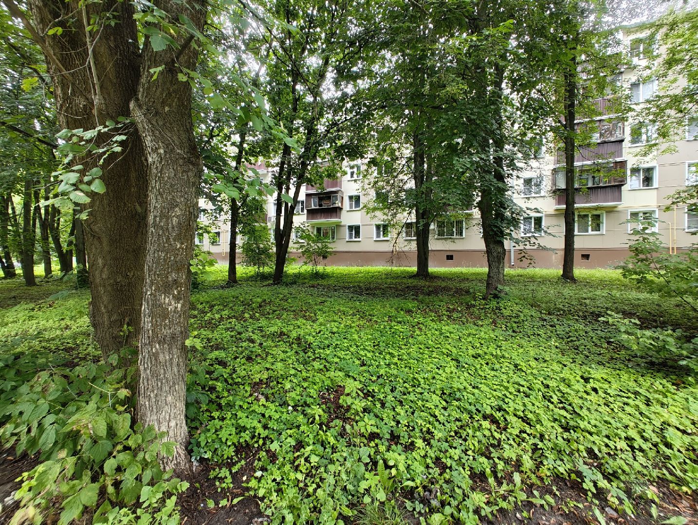 общество, выездная администрация, лыткарино, обращения жителей,