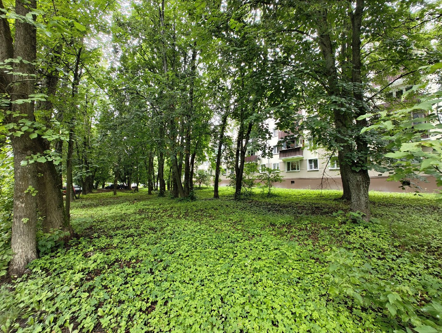 общество, выездная администрация, лыткарино, обращения жителей,