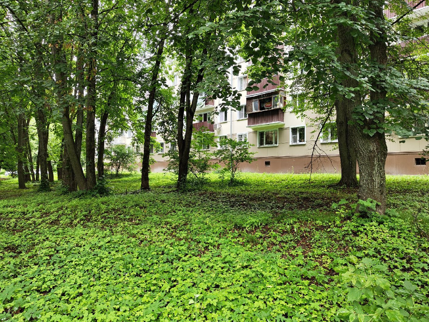 общество, выездная администрация, лыткарино, обращения жителей,