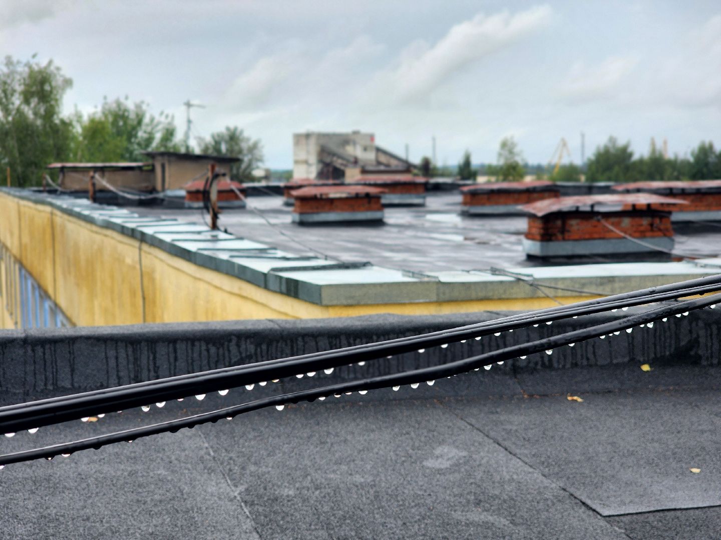 дубна, университет дубна, капитальный ремонт,