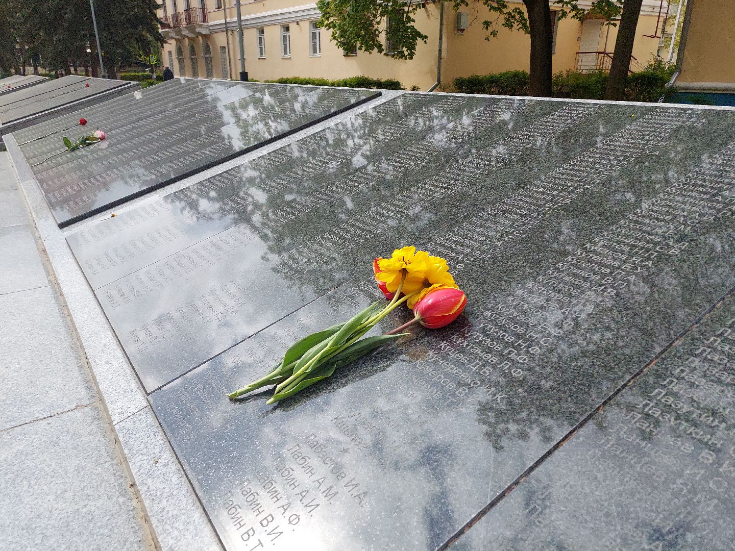 общество, память, День Победы