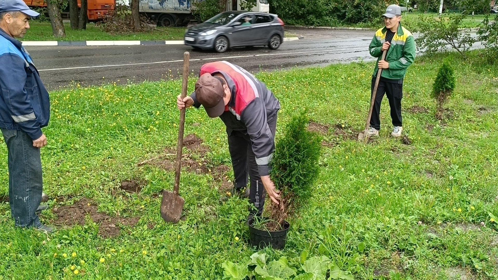 сквер,  лобня, озеленение города,