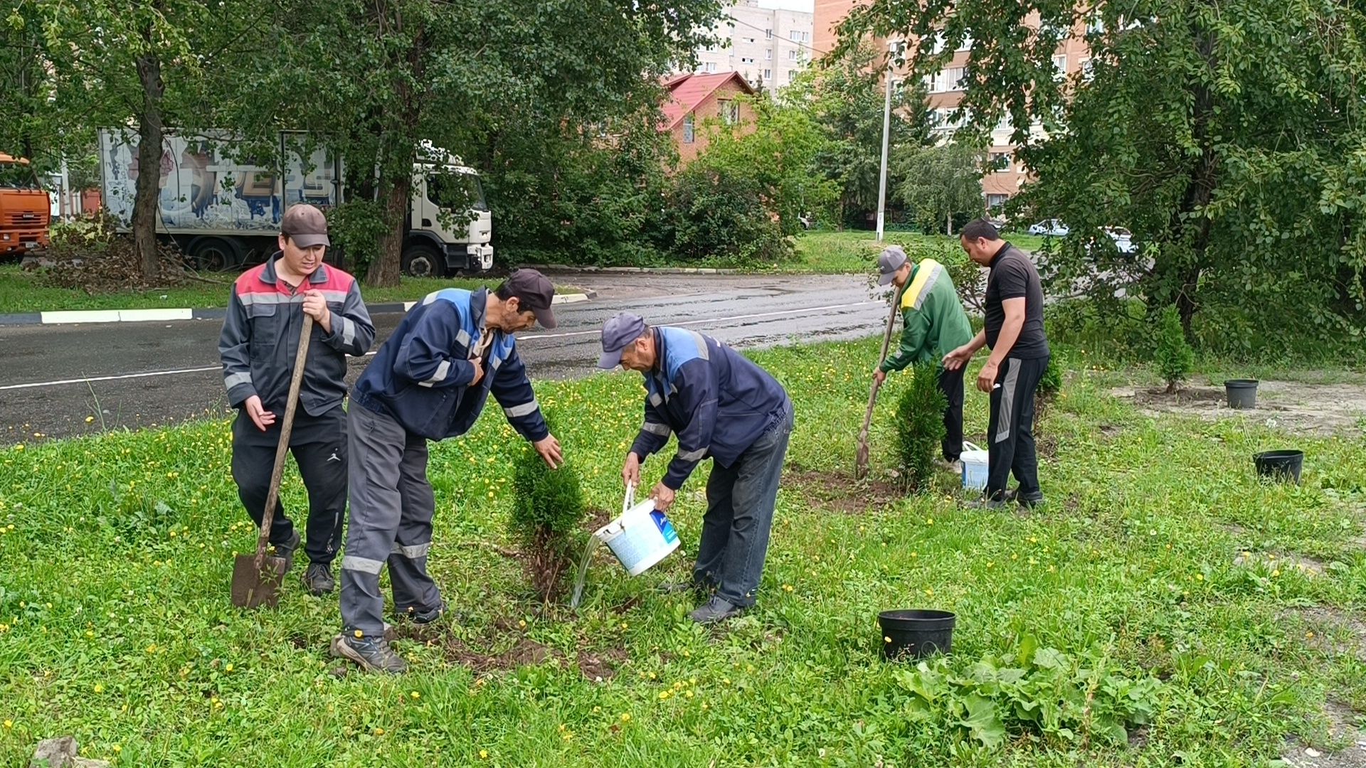 сквер,  лобня, озеленение города,