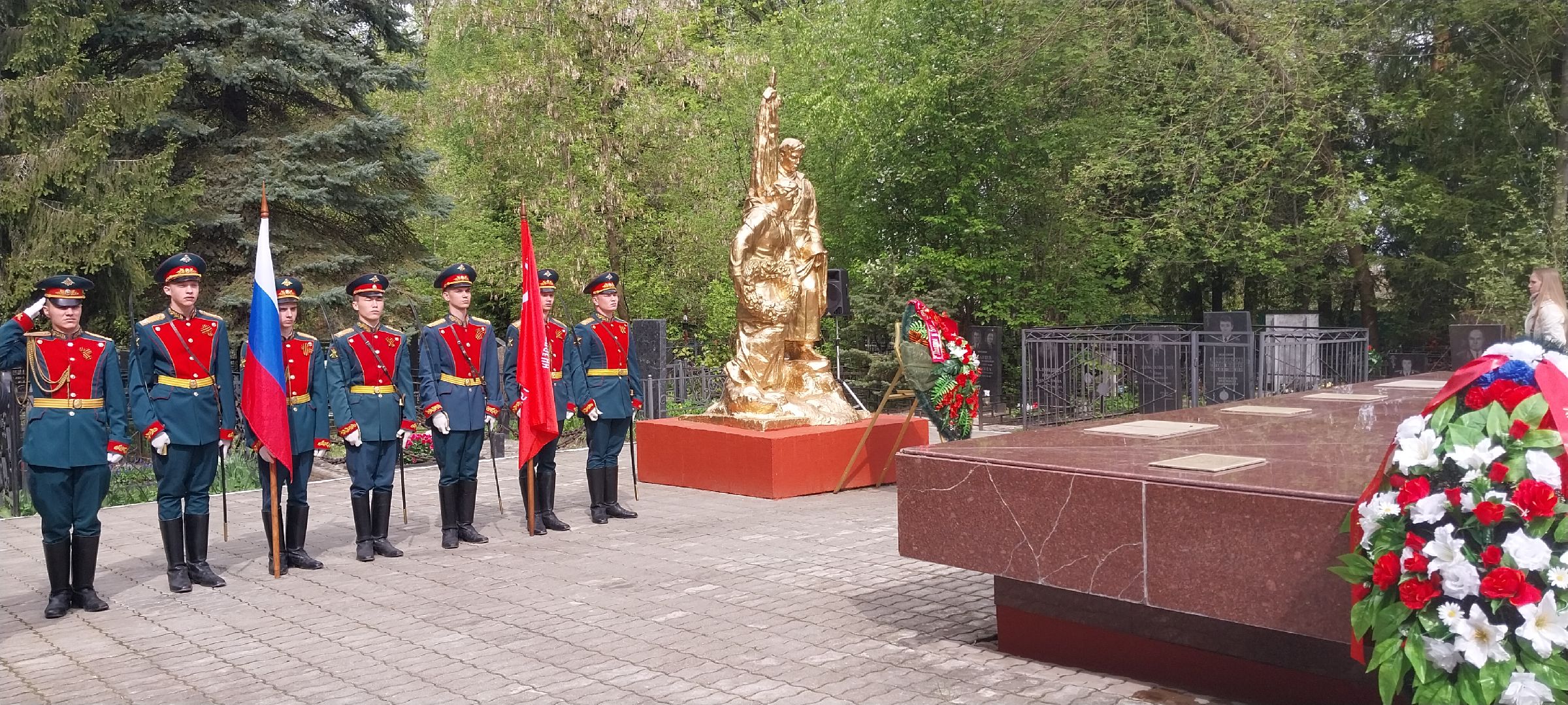 Коломна, митинг