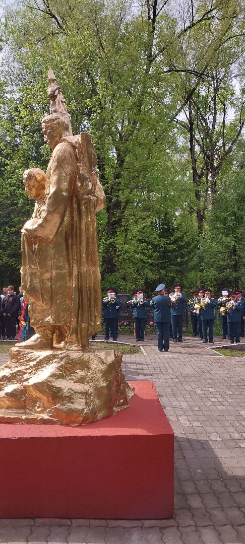 Коломна, митинг