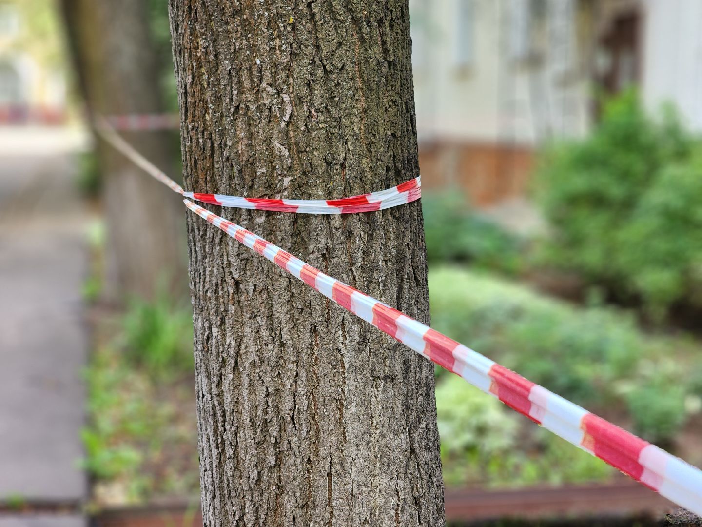 королёв, выездная администрация, микрорайон юбилейный,