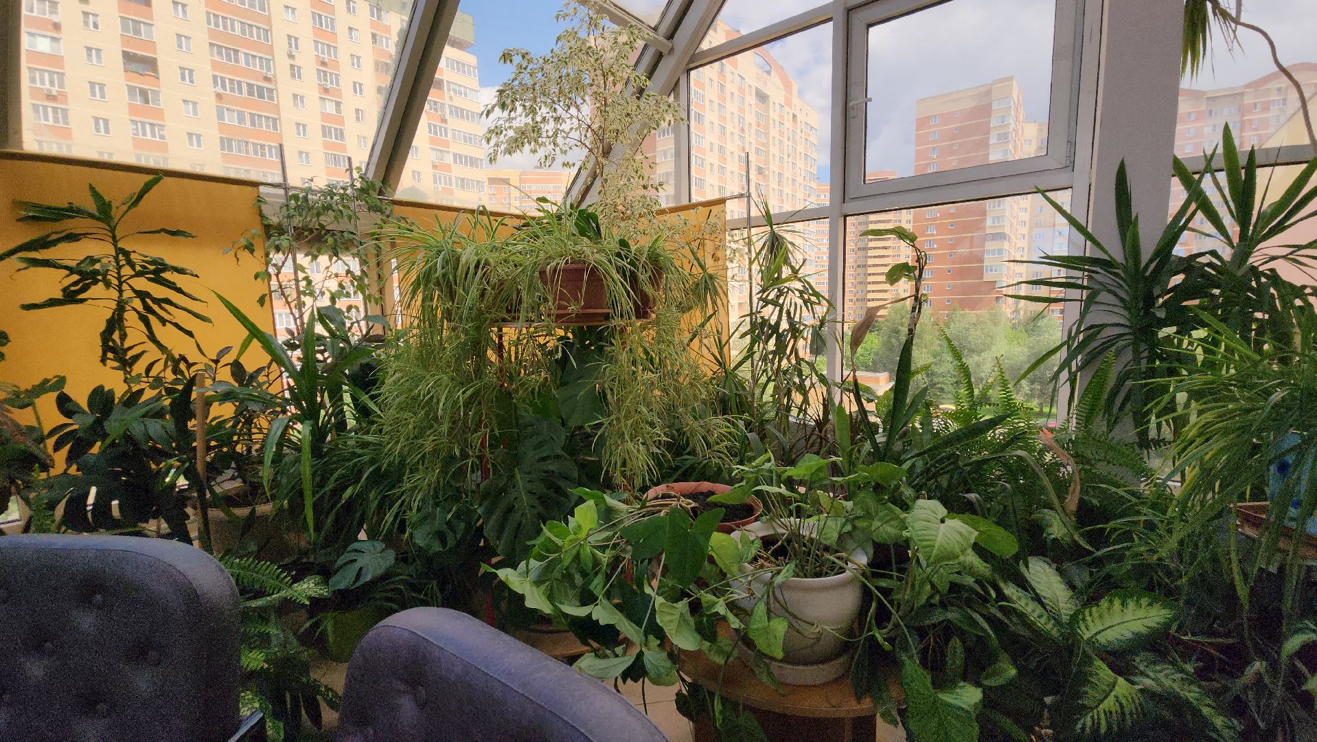 Школа, подготовка к 1 сентября, Лобня ,