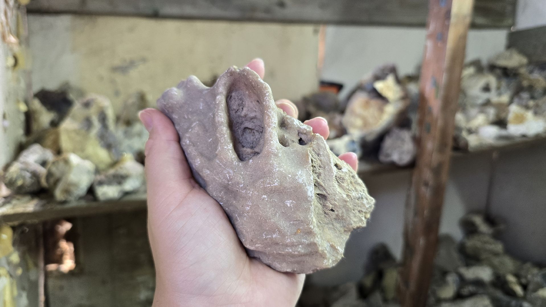 Коломна, коллекционер, минералы,