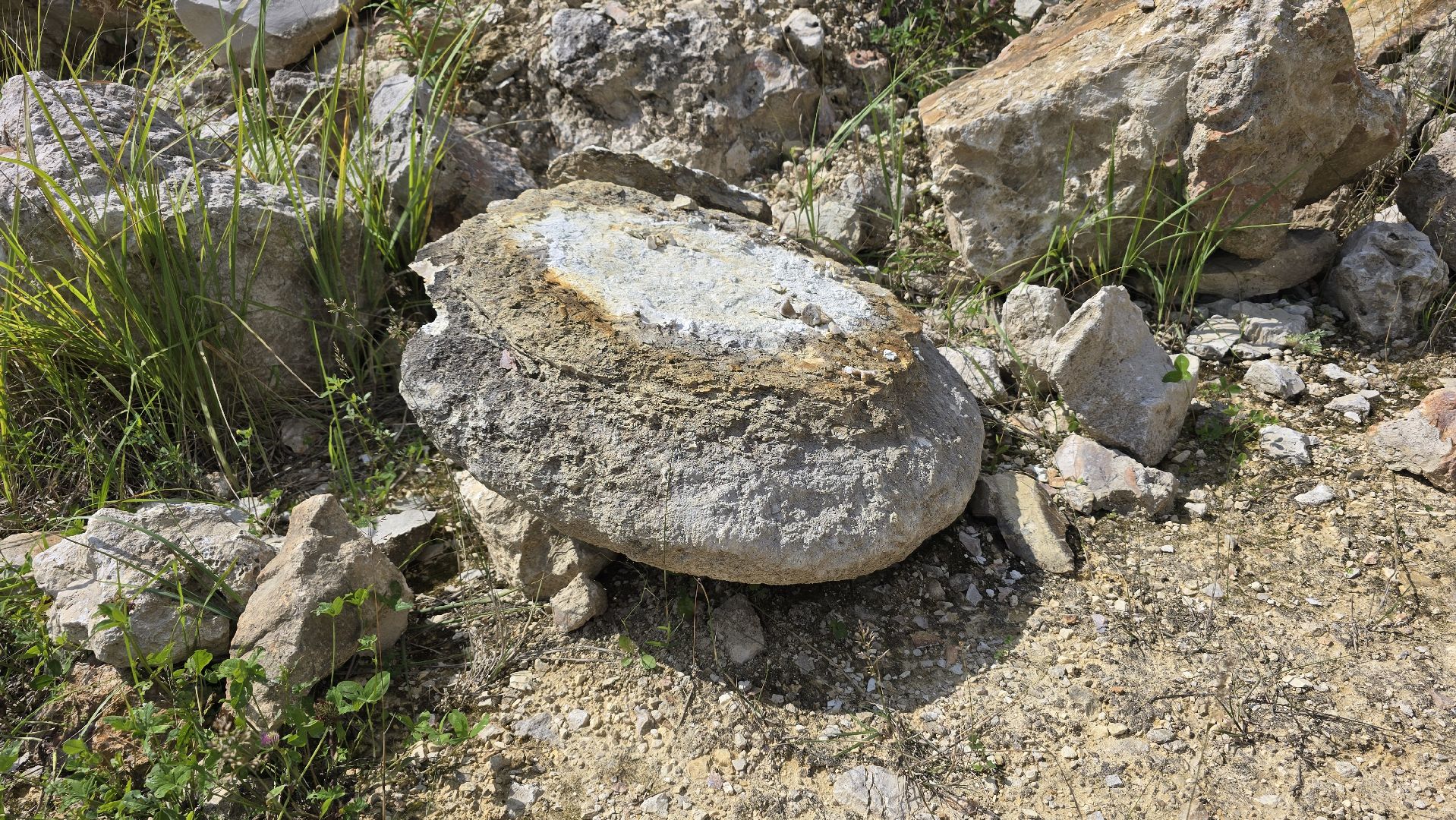 Коломна, коллекционер, минералы,