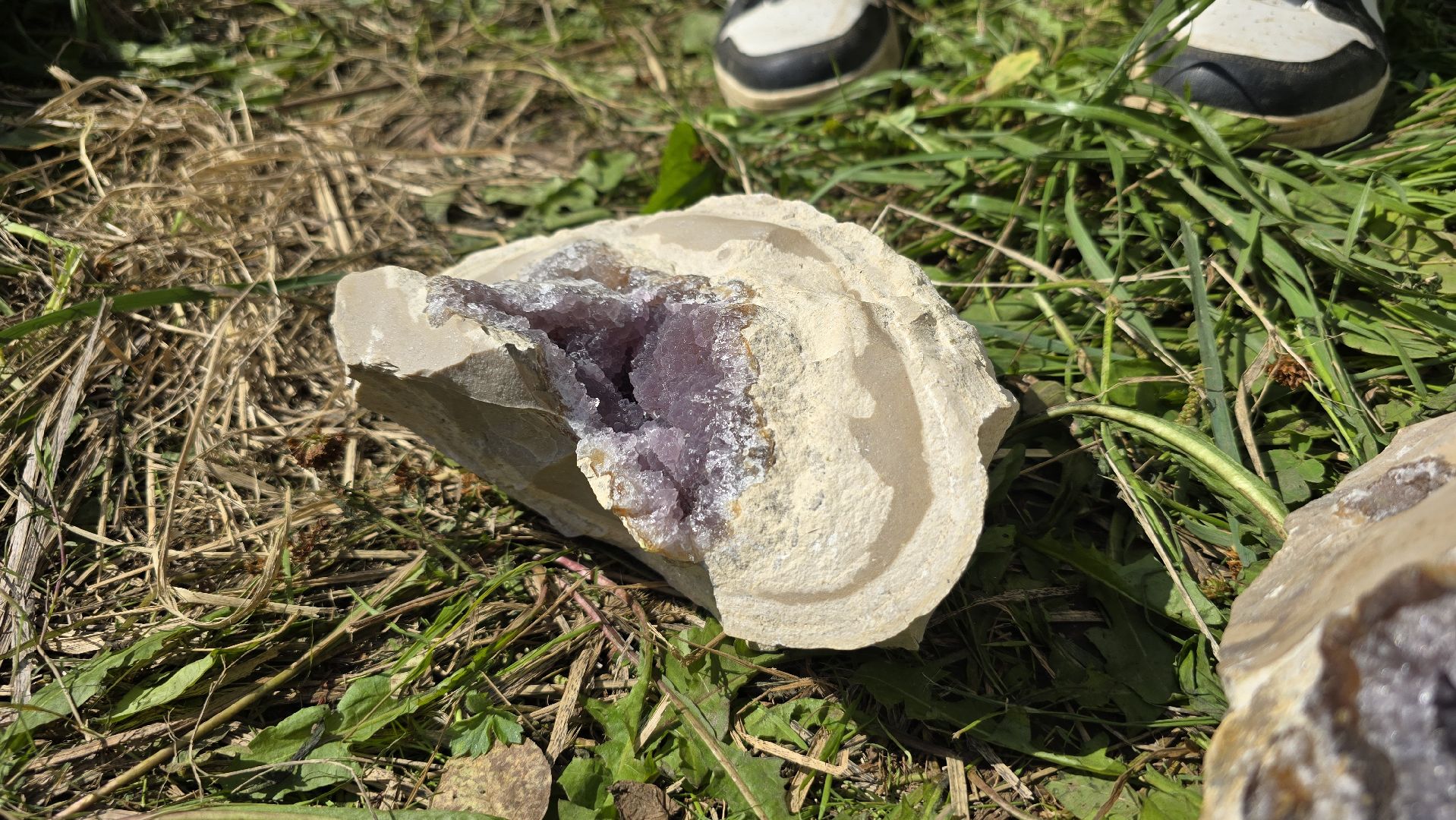 Коломна, коллекционер, минералы,