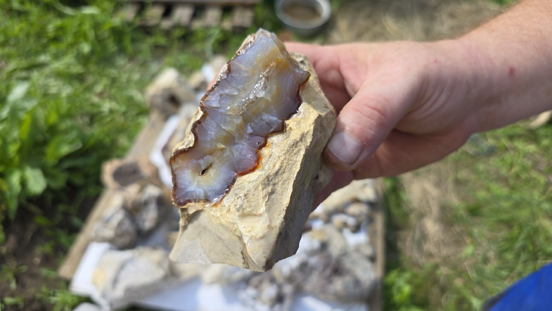 Коломна, коллекционер, минералы,