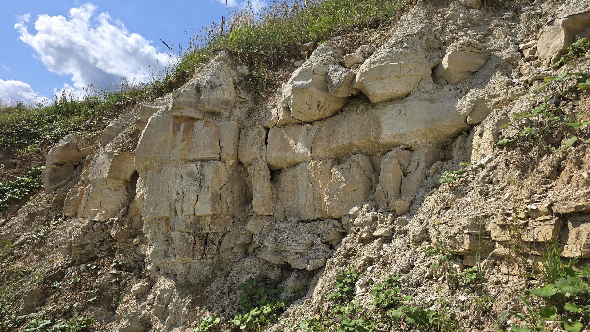 Коломна, коллекционер, минералы,