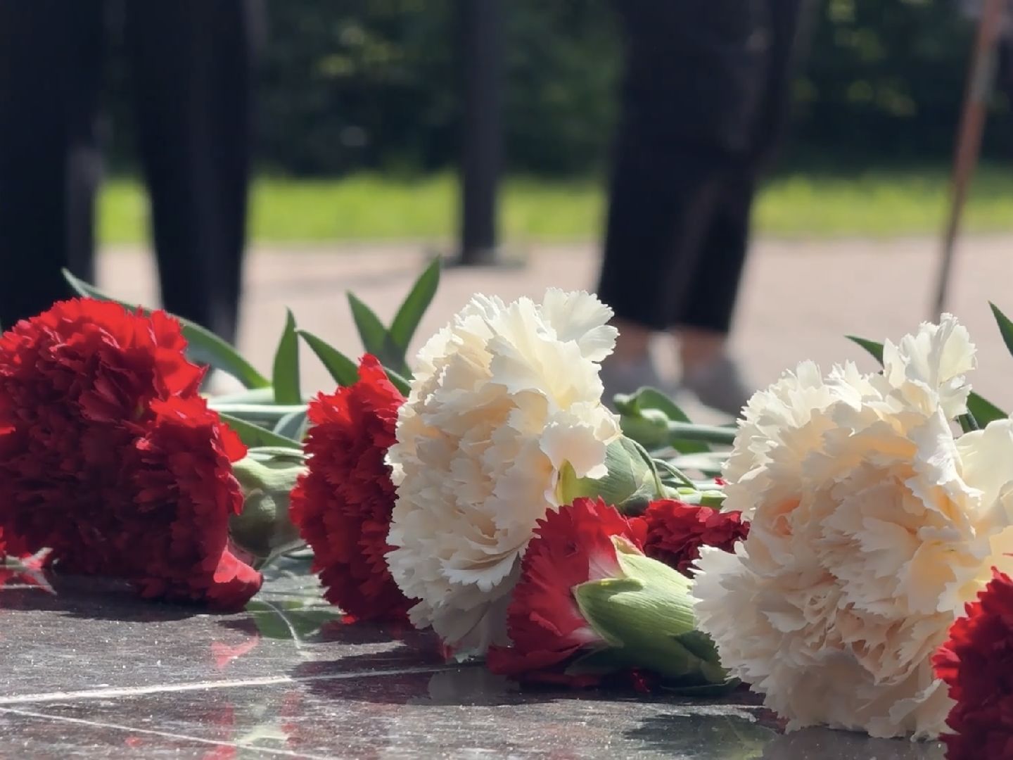 возложение цветов, памятная дата, волонтеры подмосковья,100 свирская воздушно-десантная  дивизия, великая отечественная война, десантники,акция памяти,