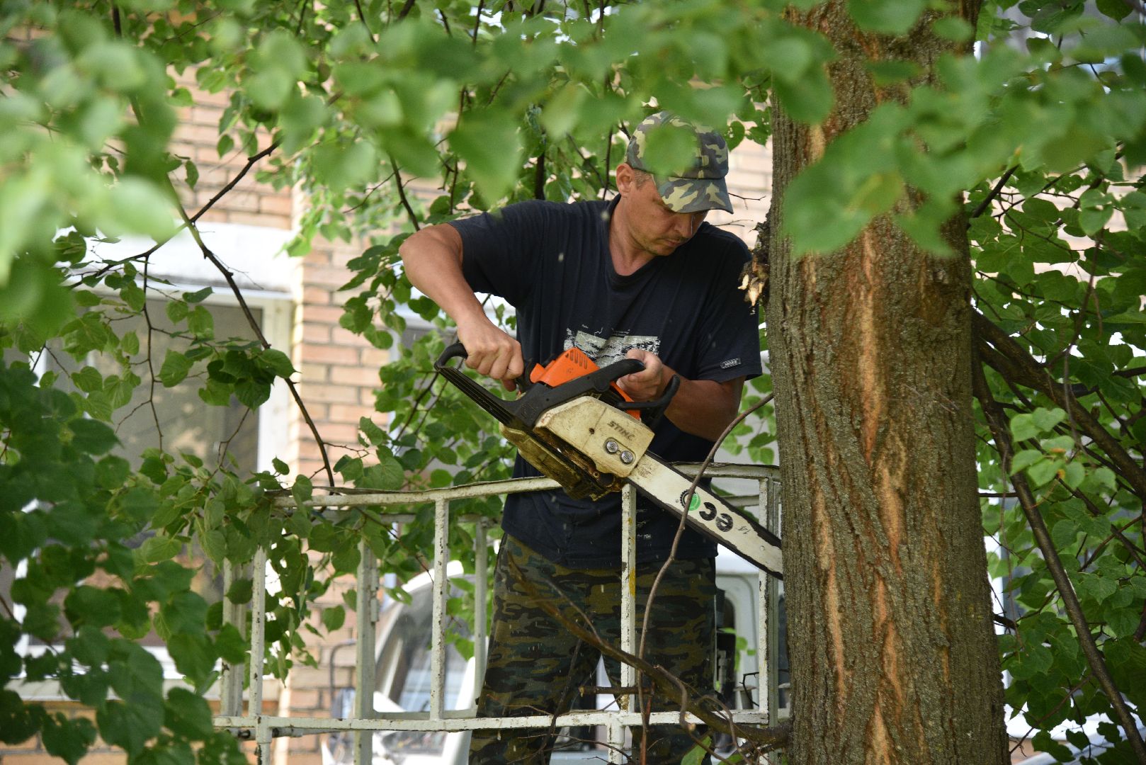 лотошино, жкх, благоустройство, добродел, обращения жителей, опиловка деревьев,