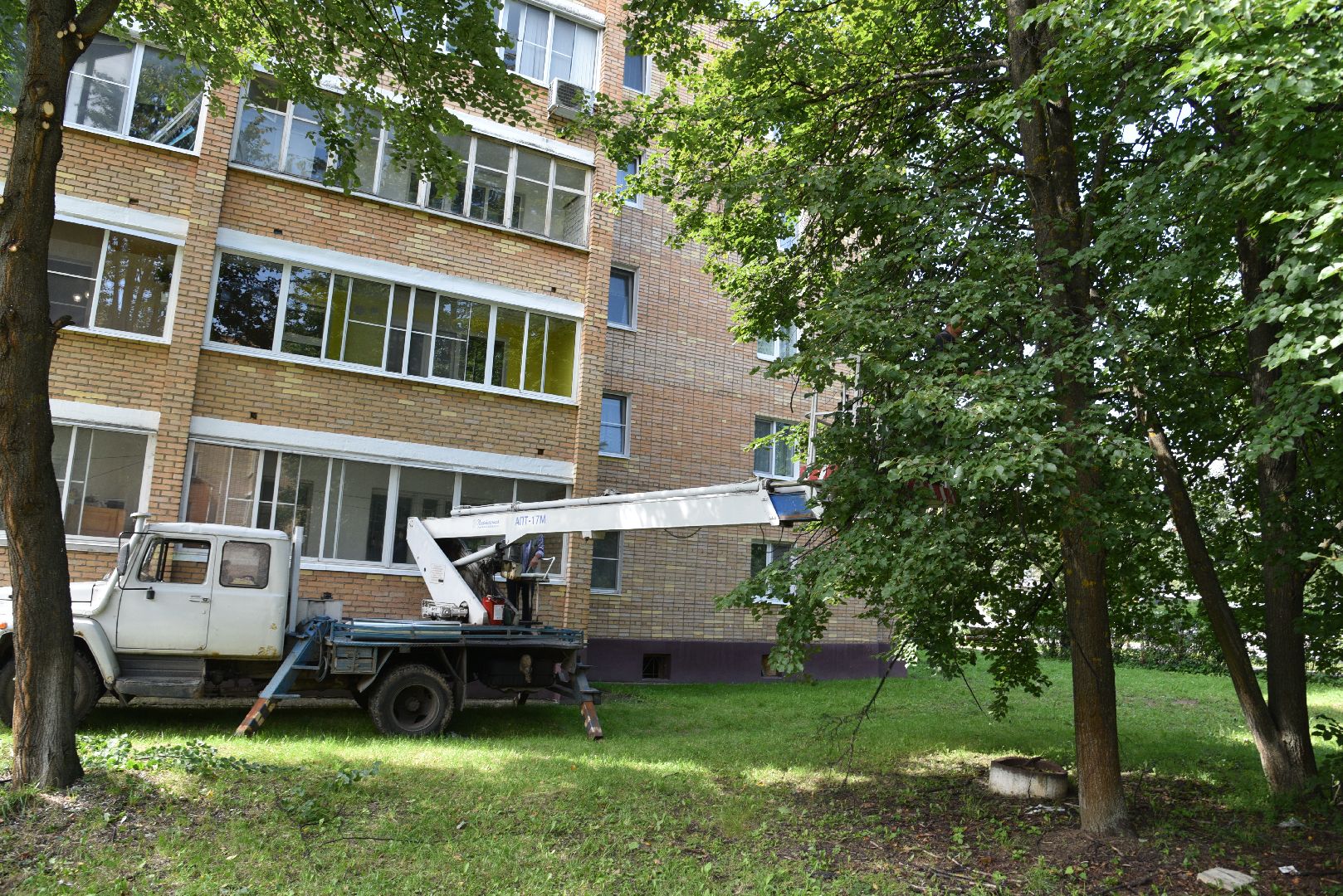 лотошино, жкх, благоустройство, добродел, обращения жителей, опиловка деревьев,