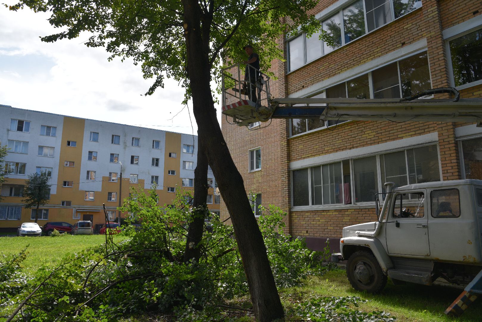 лотошино, жкх, благоустройство, добродел, обращения жителей, опиловка деревьев,