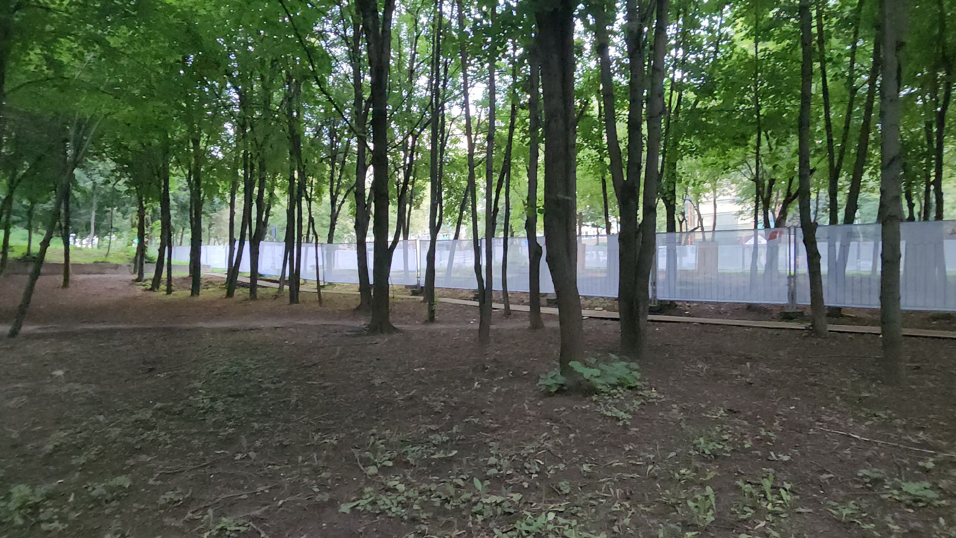 вертикалки, пушкино, благоустройство, бульвар, реконструкция сквера,микрорайон, ландшафтный дизайн, инженерные сети, фонтаны, скамейки, зоны отдыха,