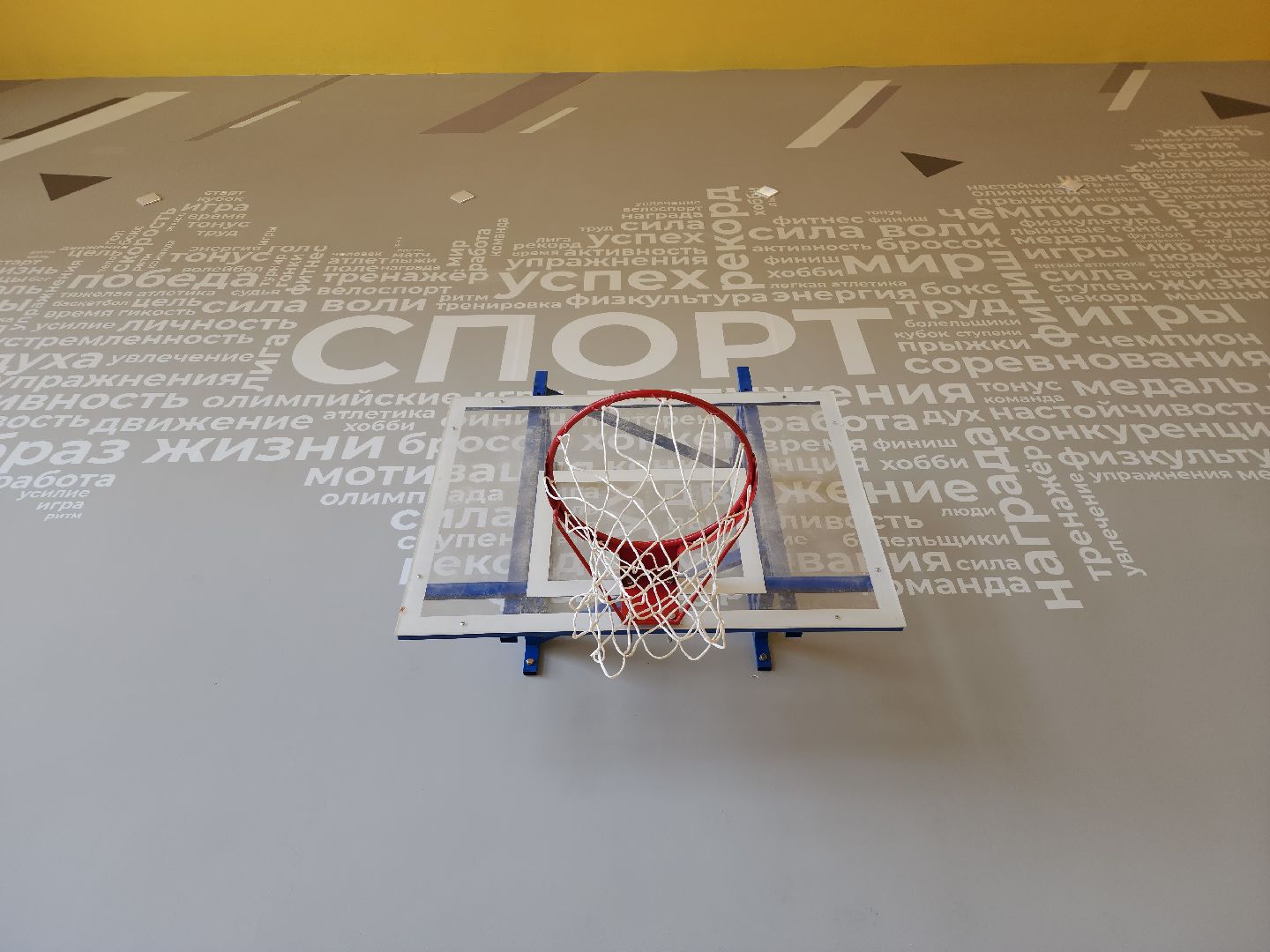 новая школа, мытищи,