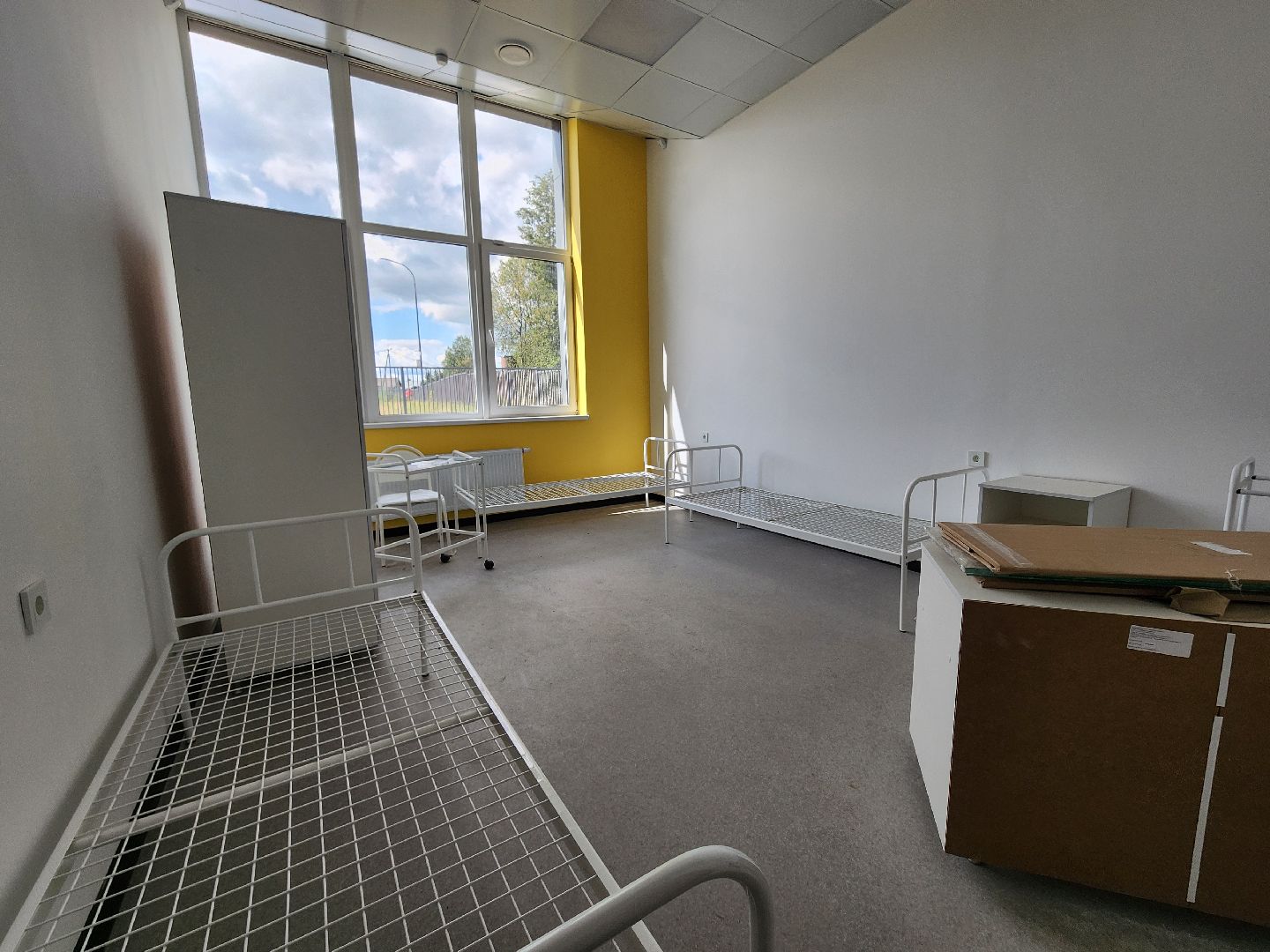 новая школа, мытищи,