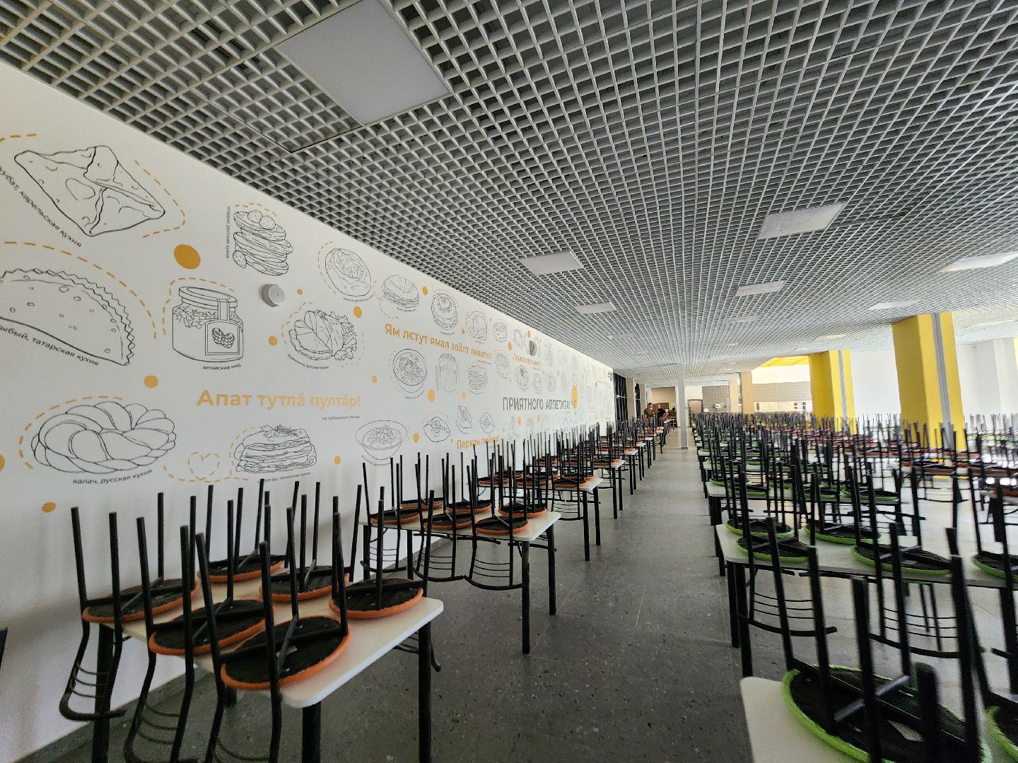 новая школа, мытищи,