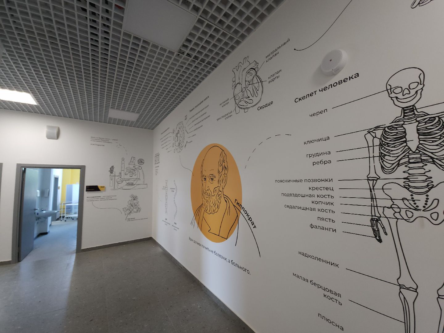 новая школа, мытищи,