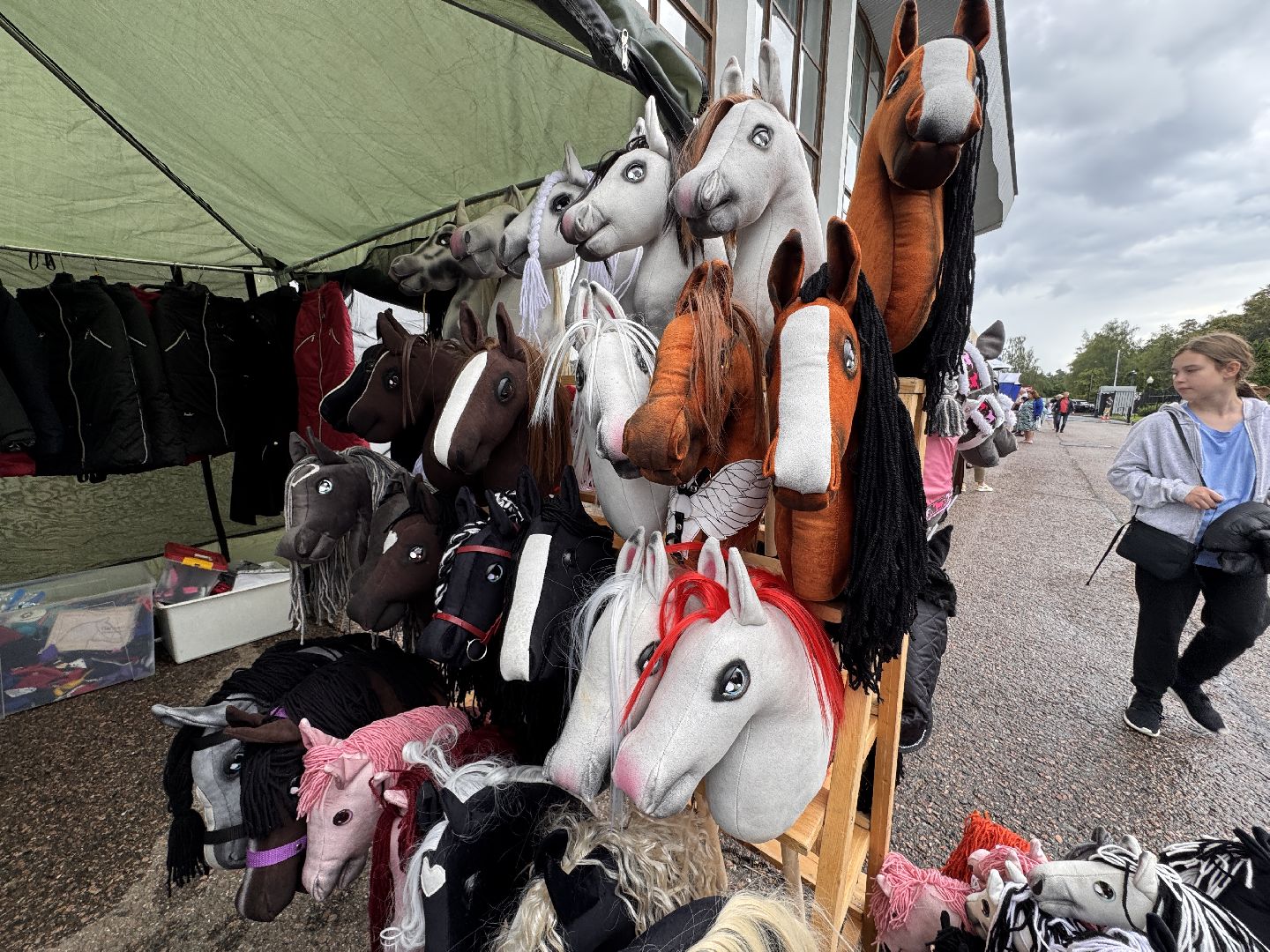 Крылатое сердце России, Чемпионат русских троек, Одинцово, МКЗ 1,