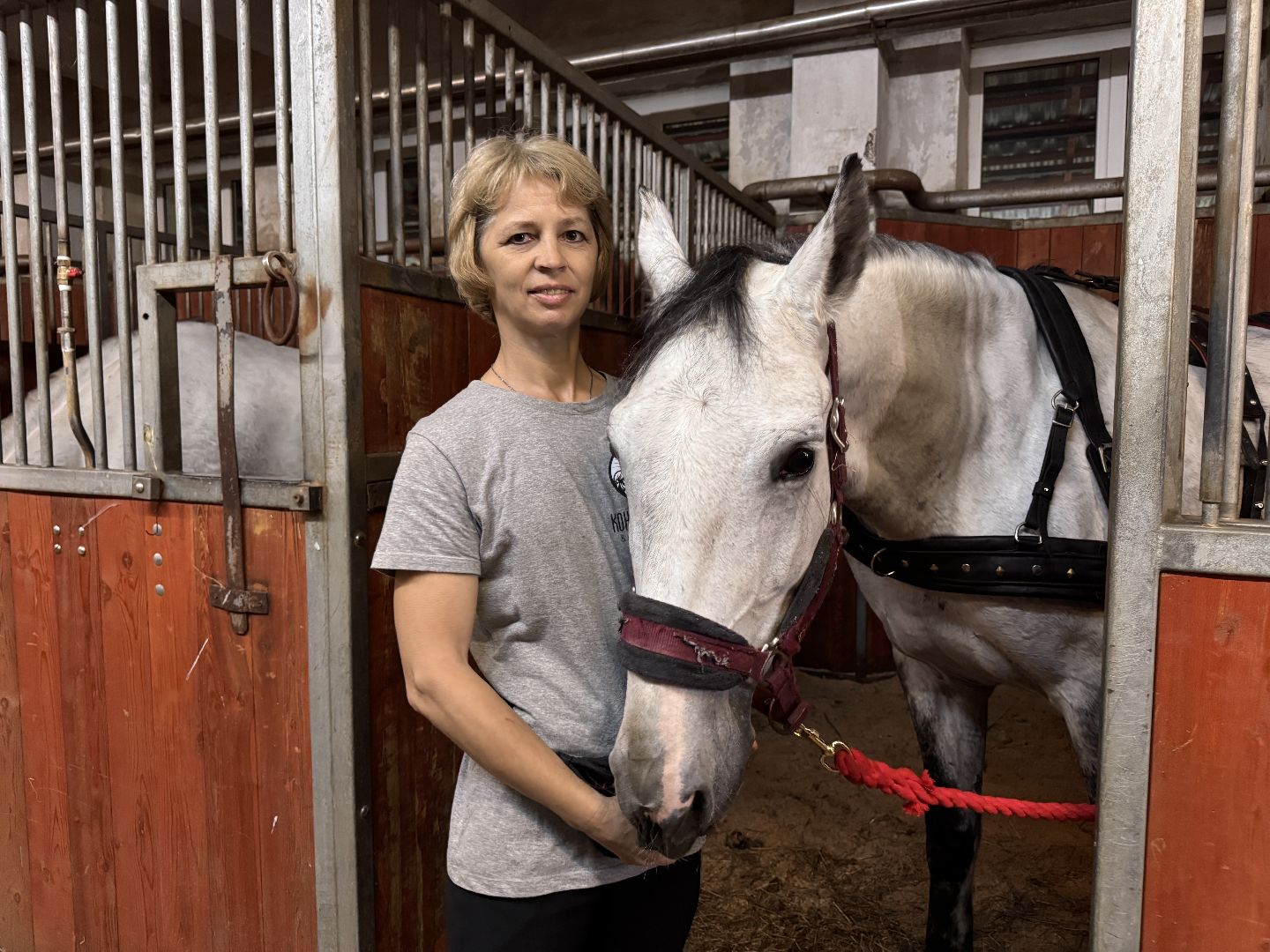 Крылатое сердце России, Чемпионат русских троек, Одинцово, МКЗ 1,