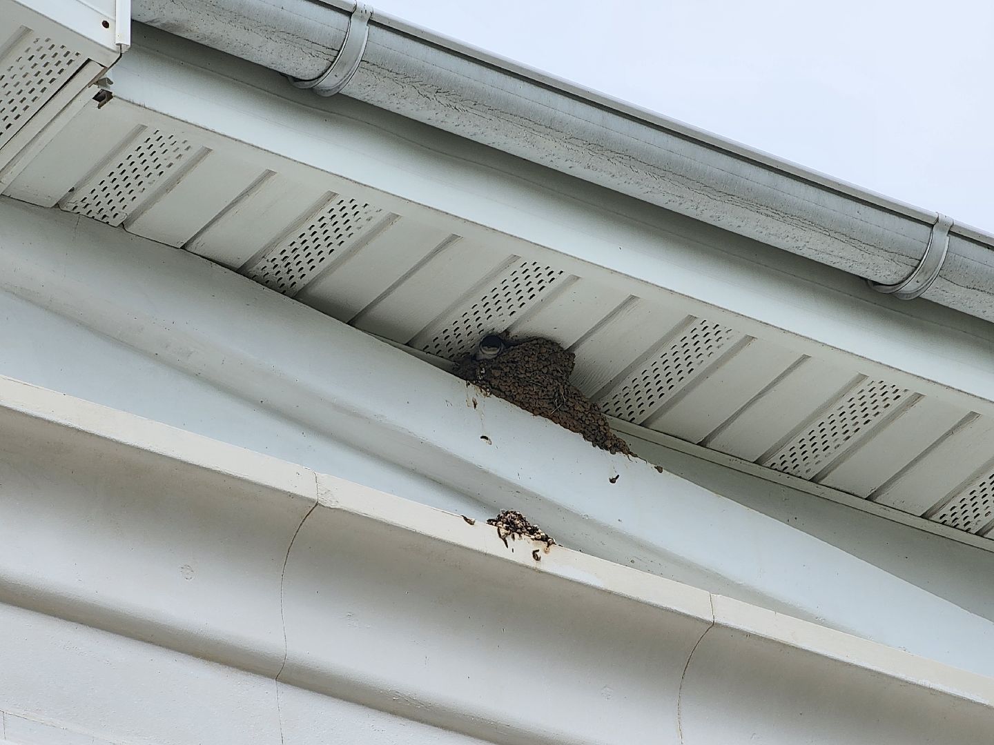 сергиево-посадский городской округ, гагино, федор шаляпин, шаляпин-фестиваль, федор шаляпин и иола торнаги, венчание, михаил брызгалов,